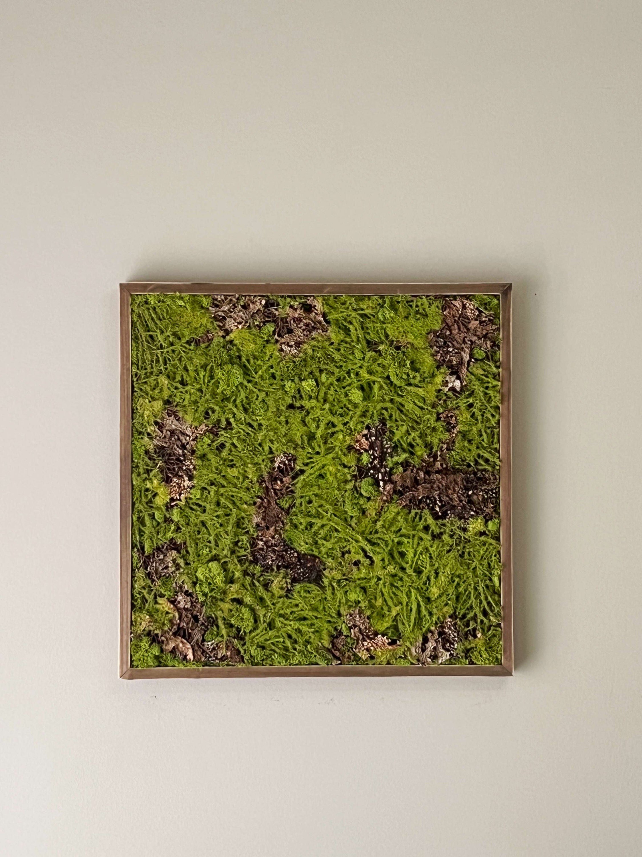 https://i.etsystatic.com/27385358/r/il/62dfe6/4888560428/il_fullxfull.4888560428_grxm.jpg