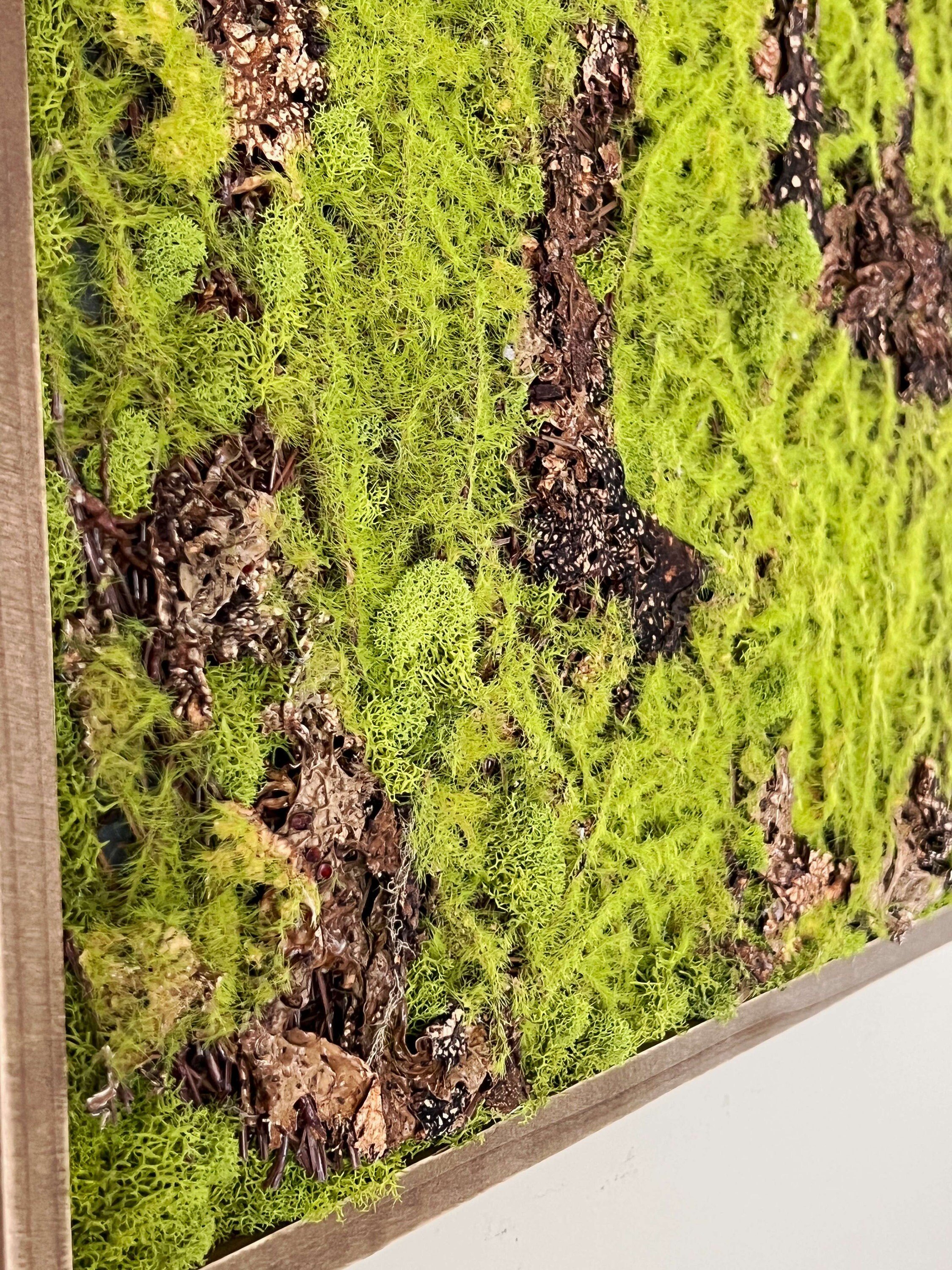 https://i.etsystatic.com/27385358/r/il/b1bb44/4936828021/il_fullxfull.4936828021_21it.jpg