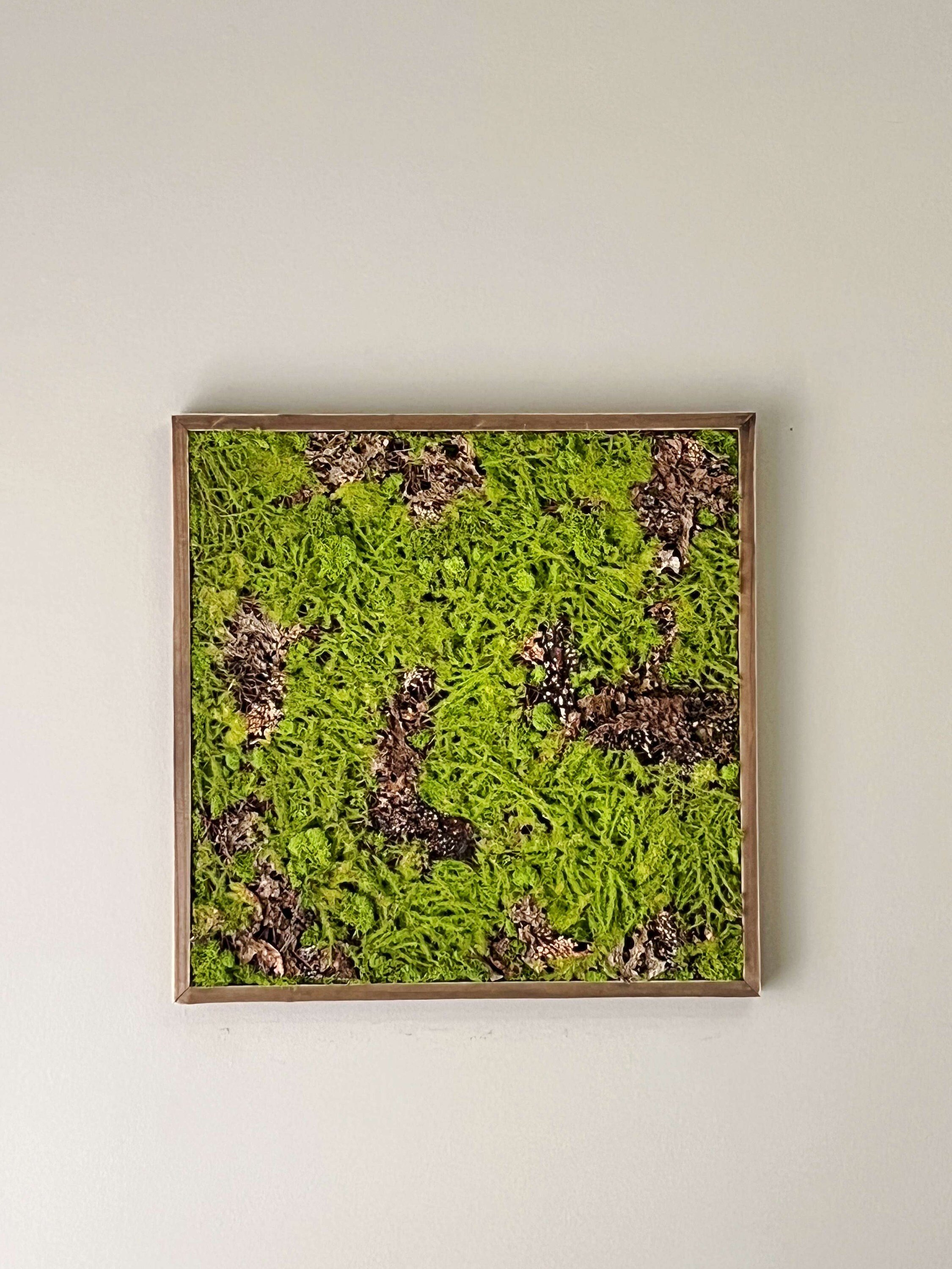 https://i.etsystatic.com/27385358/r/il/71569d/4888558110/il_fullxfull.4888558110_ixol.jpg