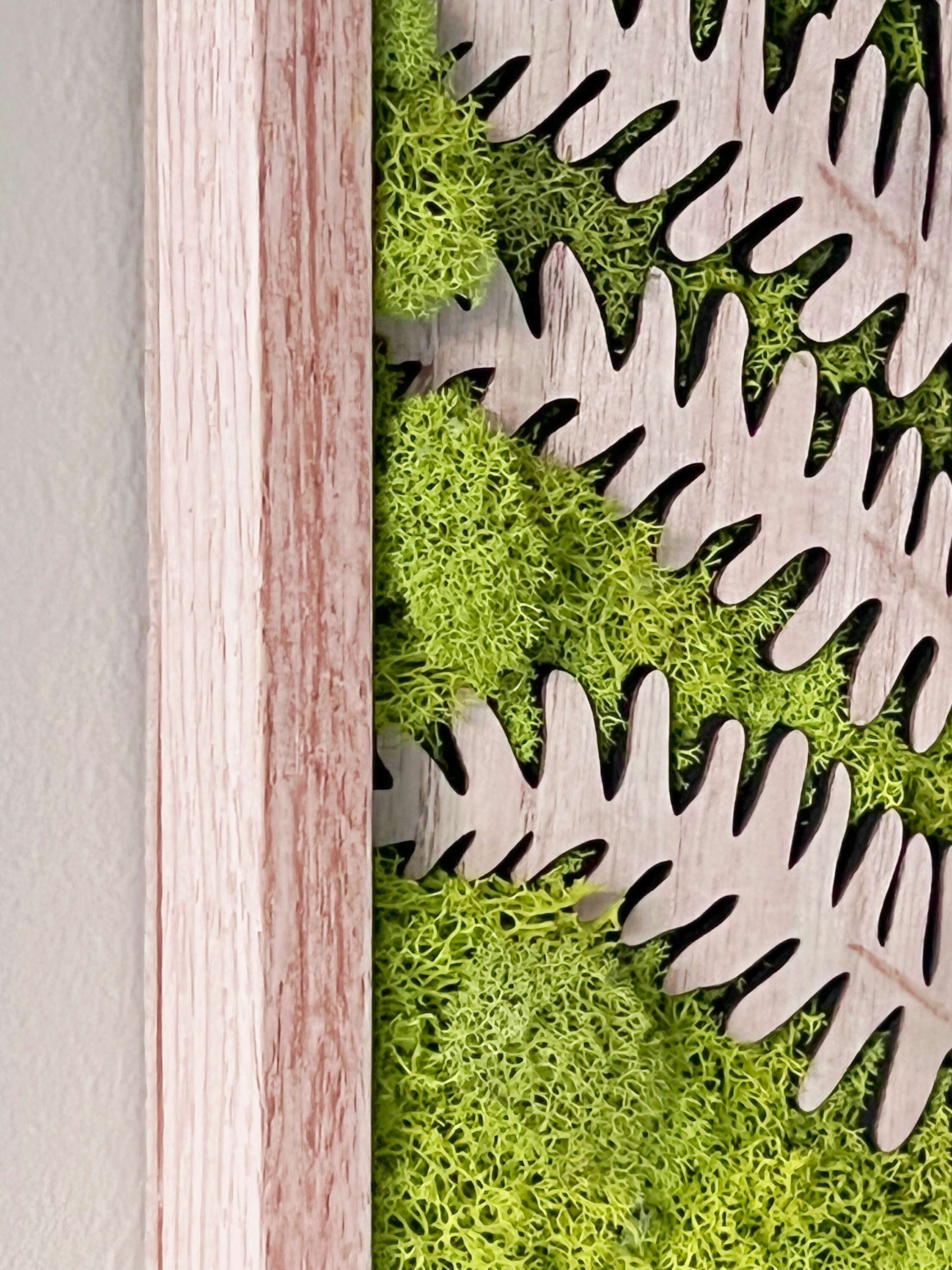 https://i.etsystatic.com/27385358/r/il/8ea753/4946499795/il_fullxfull.4946499795_oiwz.jpg