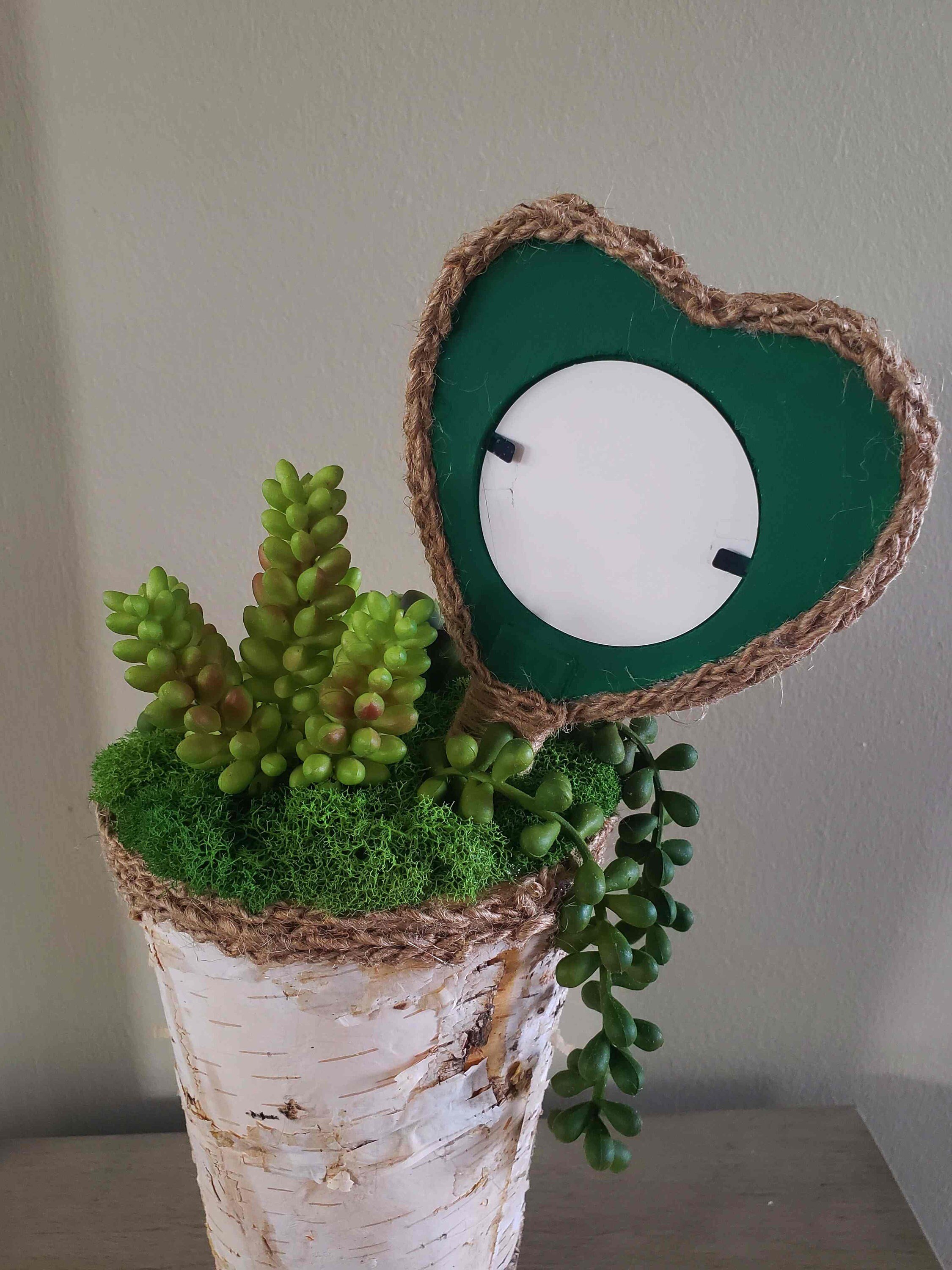 https://i.etsystatic.com/27385358/r/il/e9cc6d/3627887405/il_fullxfull.3627887405_1wn5.jpg