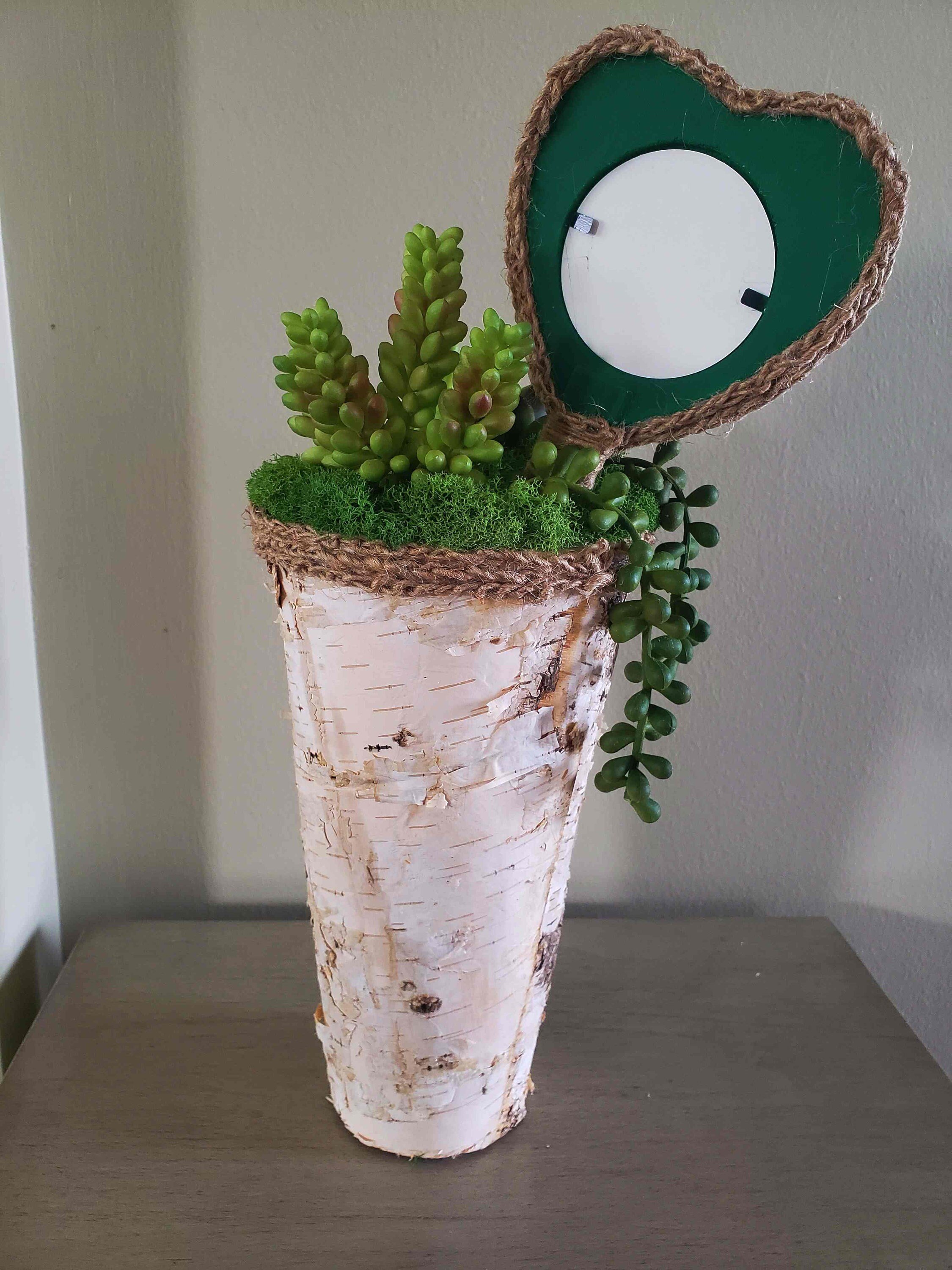 https://i.etsystatic.com/27385358/r/il/182570/3627887663/il_fullxfull.3627887663_5wky.jpg