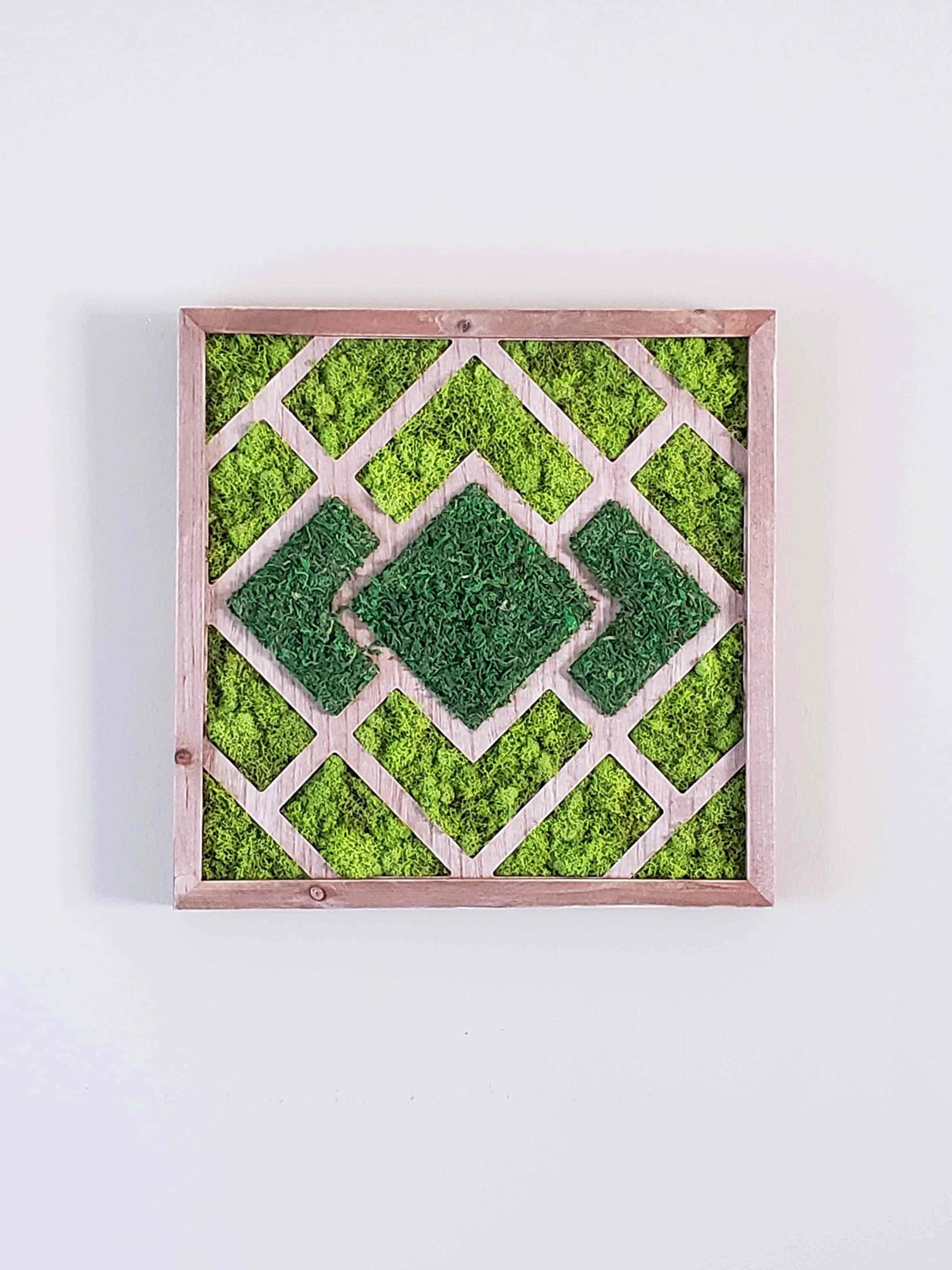 https://i.etsystatic.com/27385358/r/il/c2a8d9/4791670311/il_fullxfull.4791670311_mkw3.jpg
