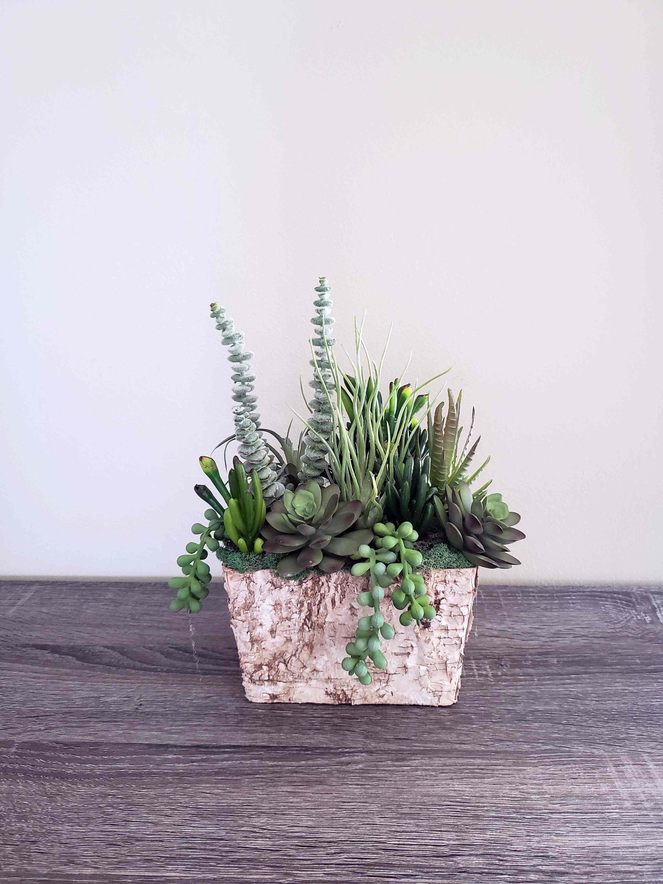 https://i.etsystatic.com/27385358/r/il/9312f8/4980064283/il_fullxfull.4980064283_amcb.jpg