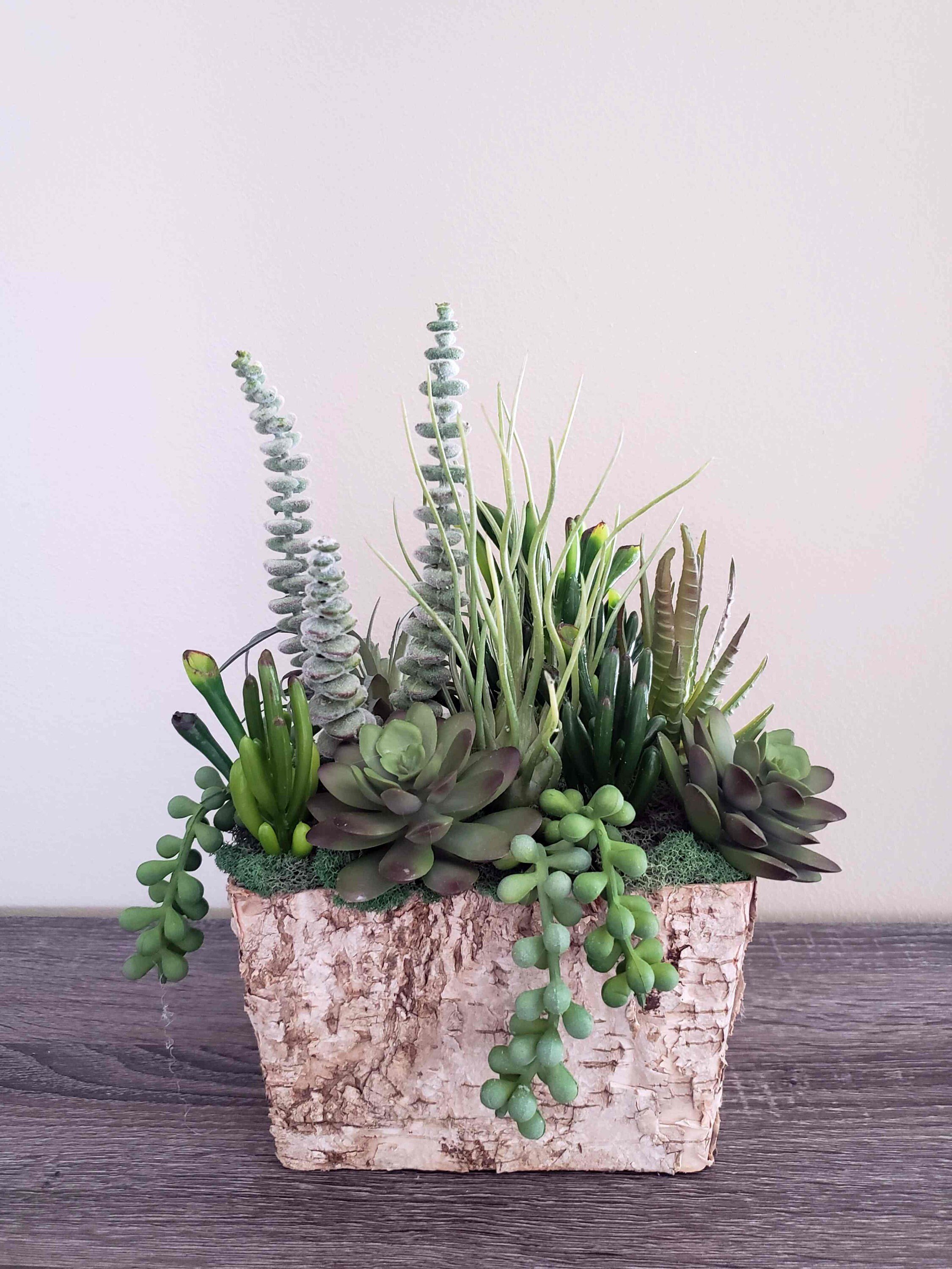 https://i.etsystatic.com/27385358/r/il/83de2c/3551164727/il_fullxfull.3551164727_p657.jpg