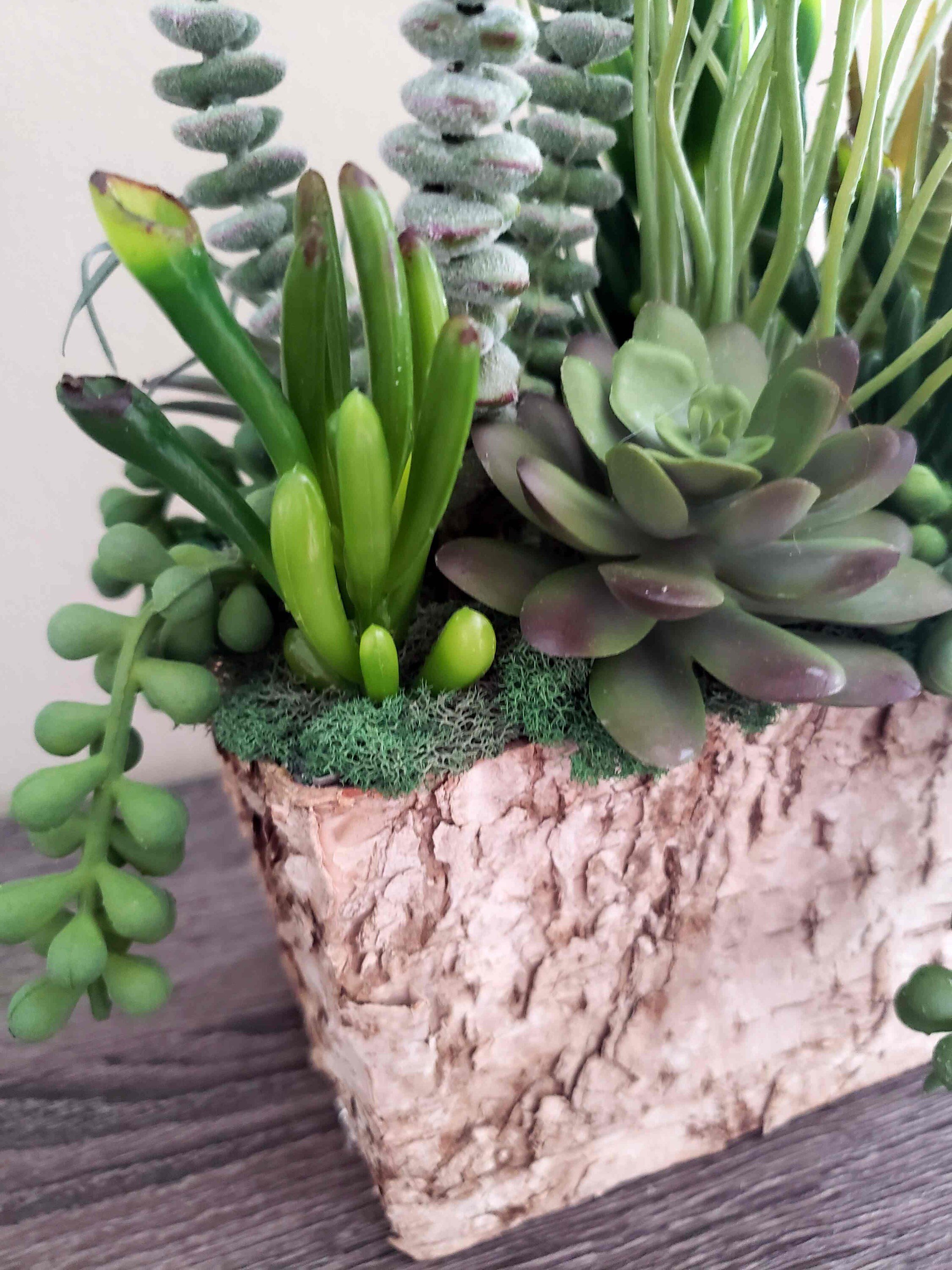 https://i.etsystatic.com/27385358/r/il/5522fc/3503527860/il_fullxfull.3503527860_9u1x.jpg