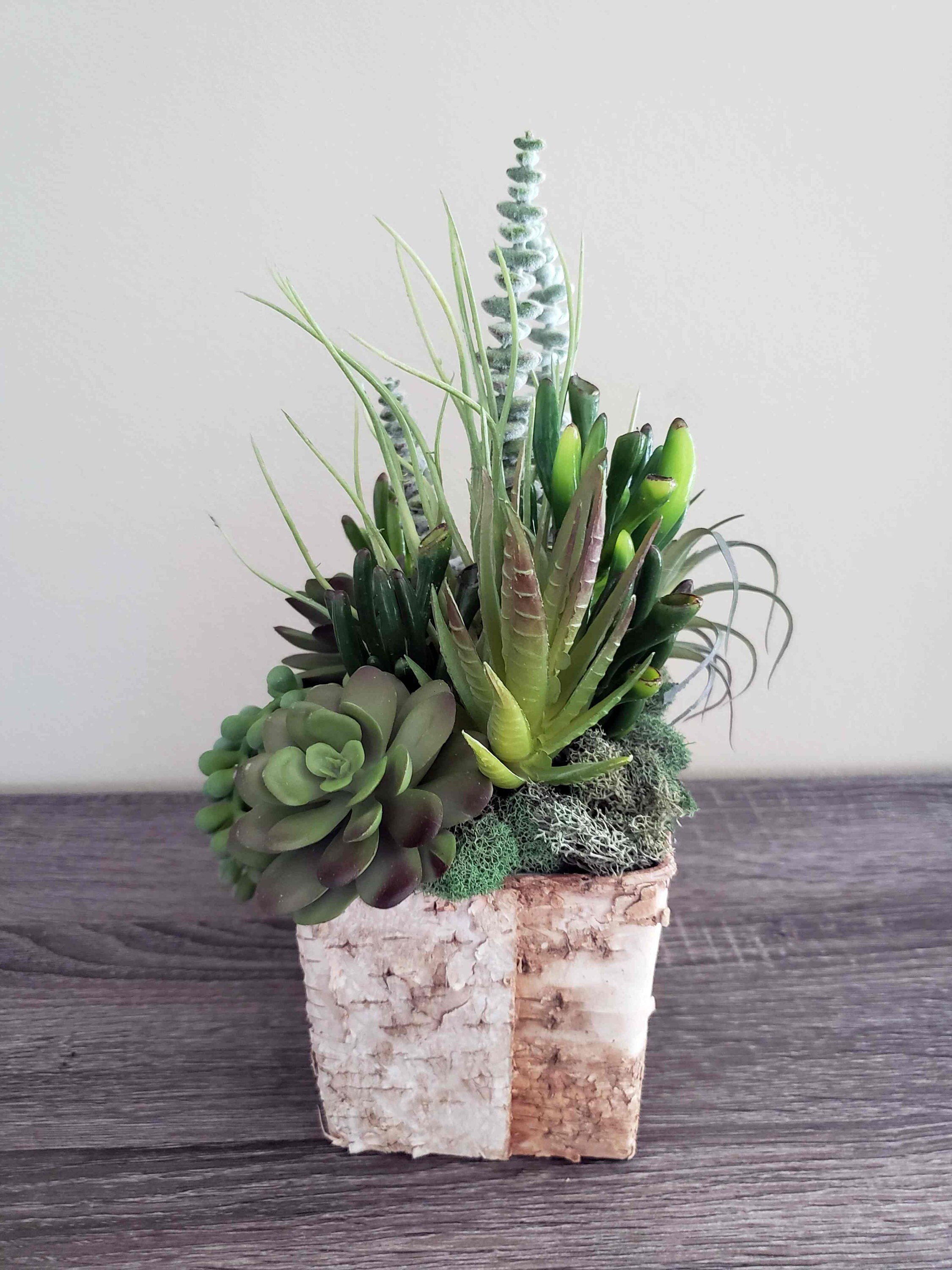 https://i.etsystatic.com/27385358/r/il/09d7d5/3551163663/il_fullxfull.3551163663_5q5l.jpg