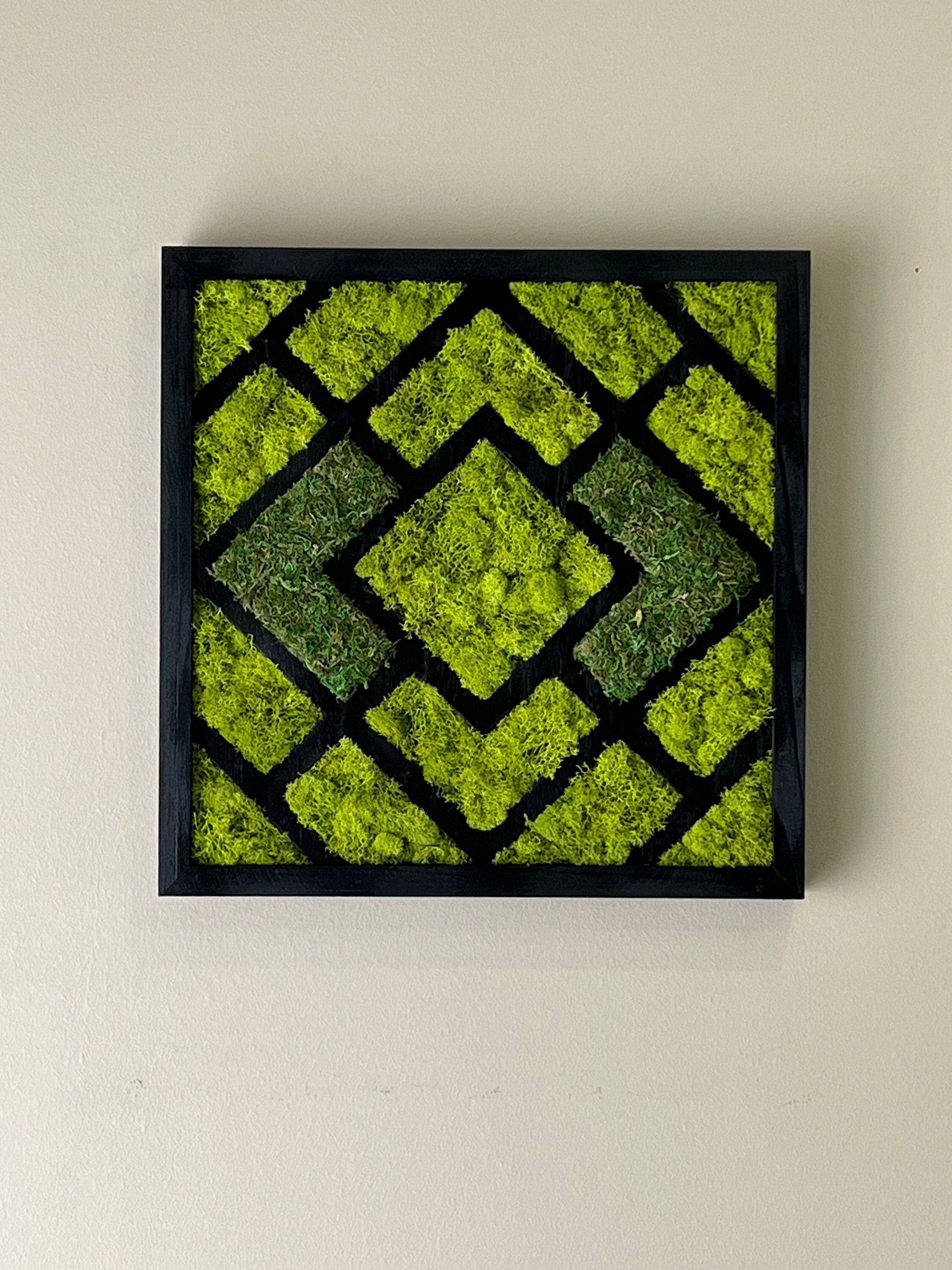 https://i.etsystatic.com/27385358/r/il/2931f3/4022083789/il_fullxfull.4022083789_2udc.jpg