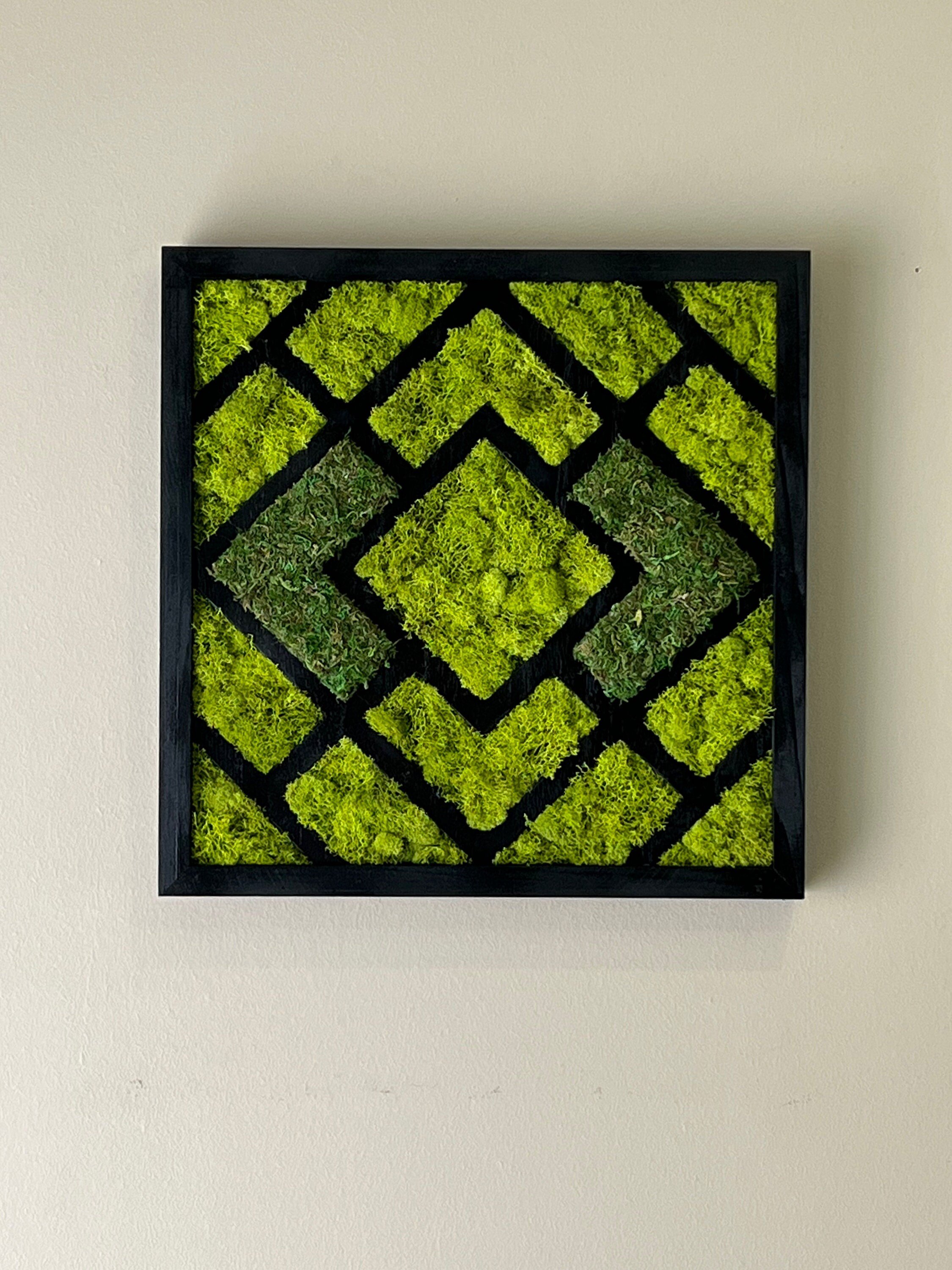 https://i.etsystatic.com/27385358/r/il/c42b15/4022102821/il_fullxfull.4022102821_ig59.jpg