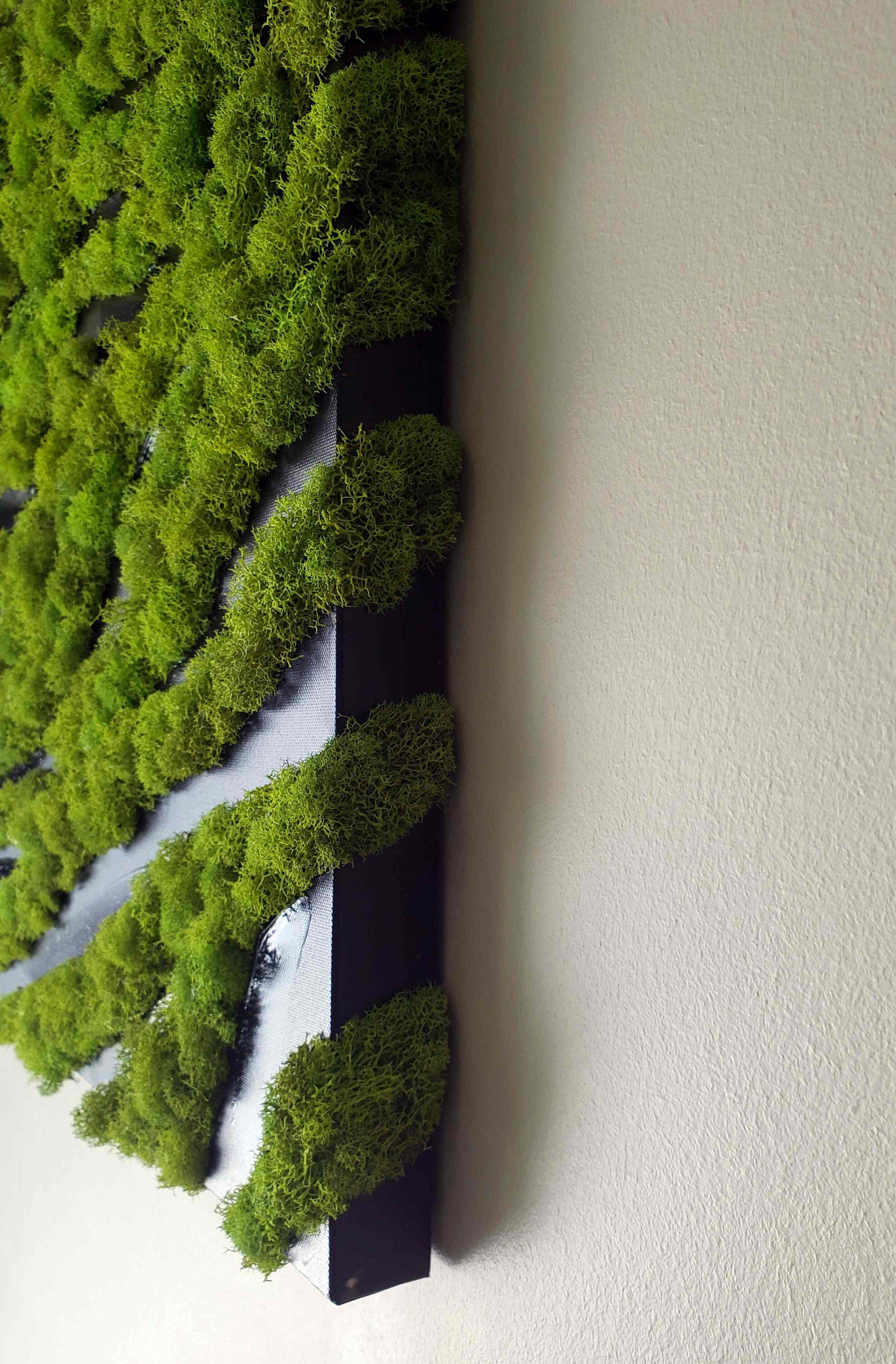 https://i.etsystatic.com/27385358/r/il/a4a568/3212692391/il_fullxfull.3212692391_rjai.jpg