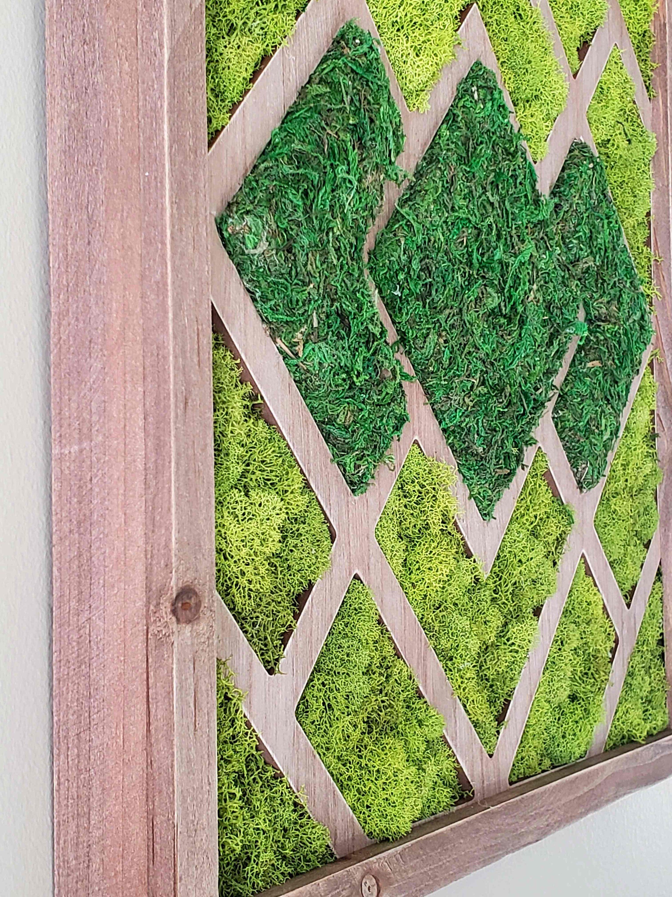 https://i.etsystatic.com/27385358/r/il/ca63a5/3325373999/il_fullxfull.3325373999_3b7r.jpg