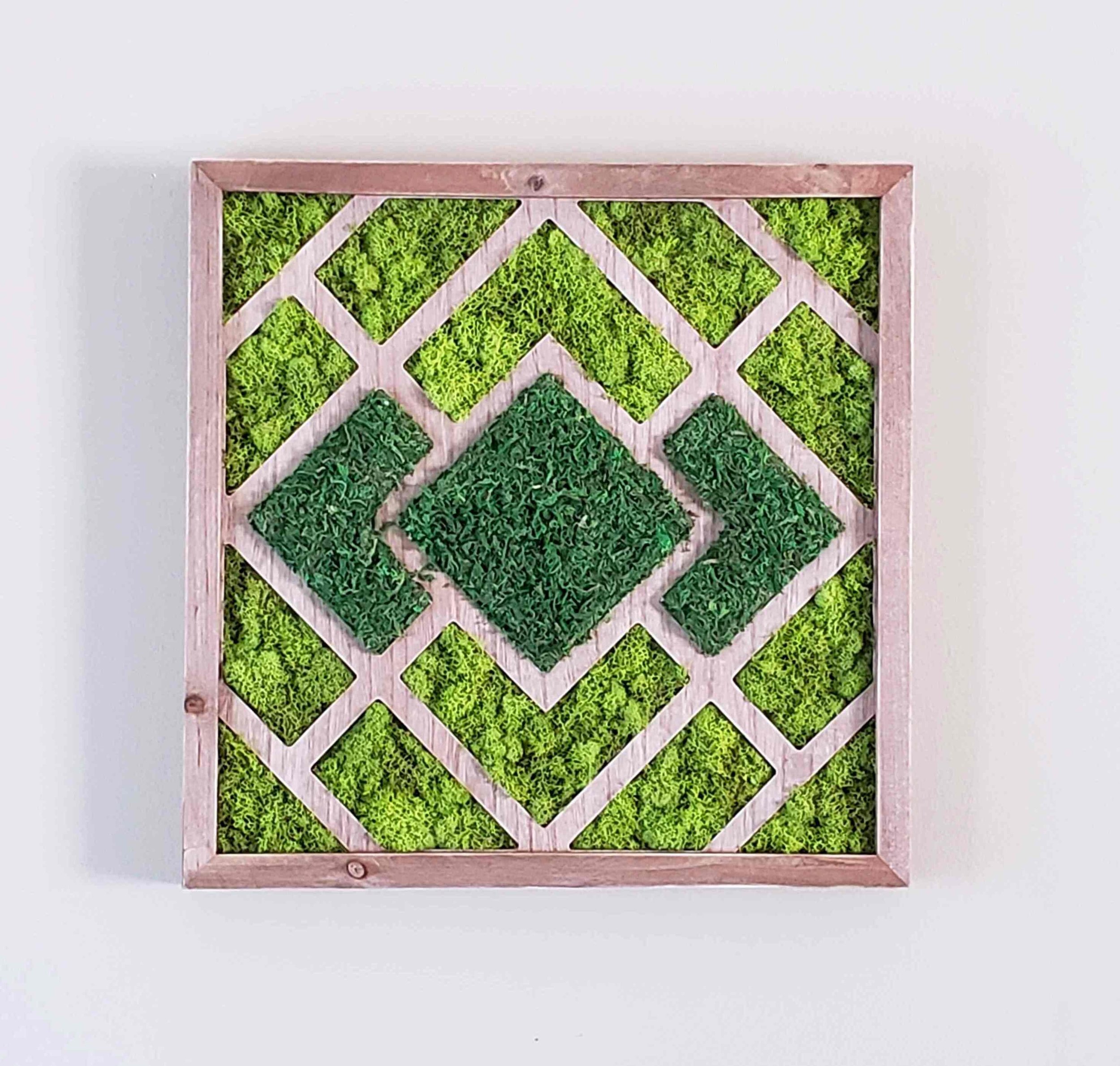 https://i.etsystatic.com/27385358/r/il/e8b15d/3502828827/il_fullxfull.3502828827_1gkr.jpg
