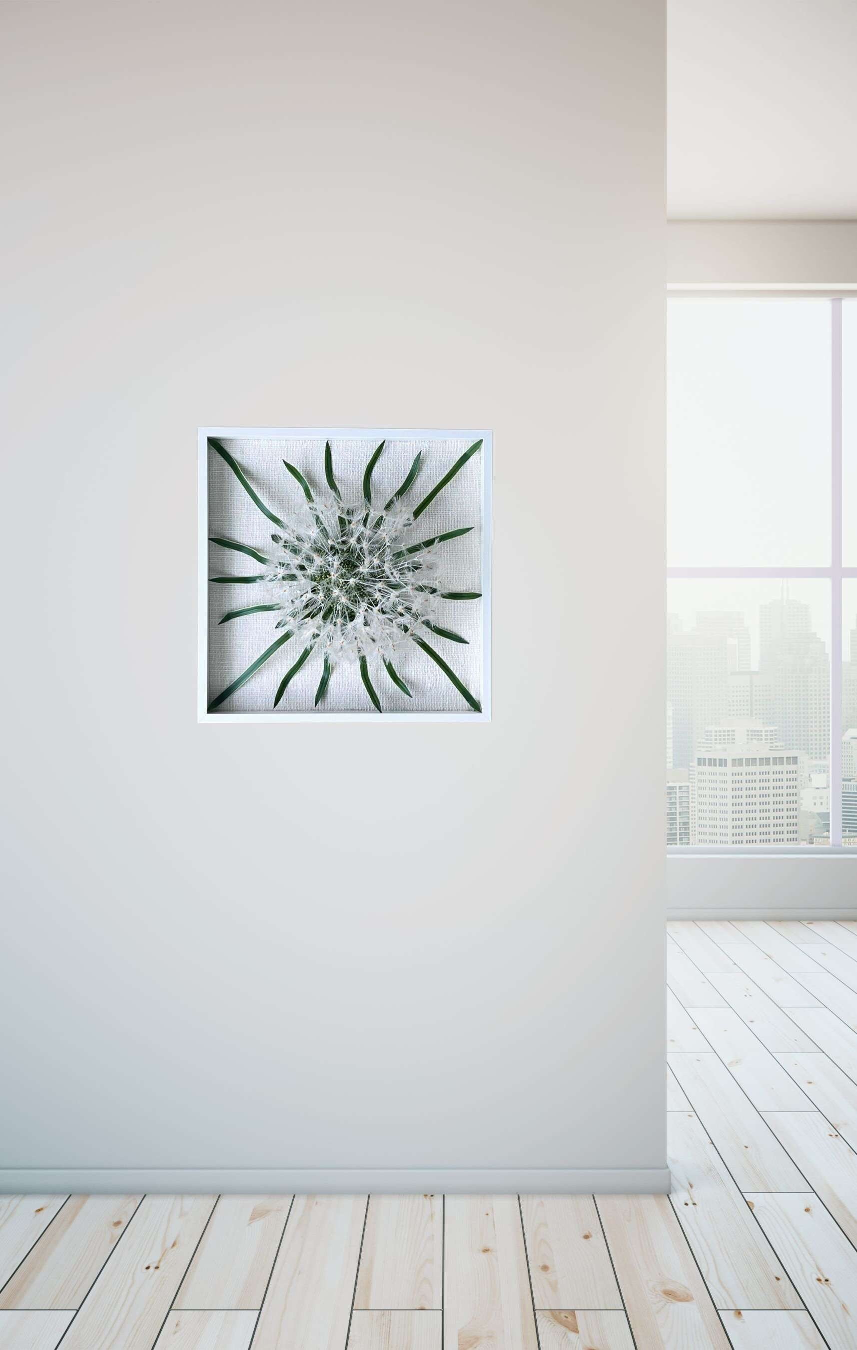 https://i.etsystatic.com/27385358/r/il/e13612/5105493206/il_fullxfull.5105493206_ohrp.jpg