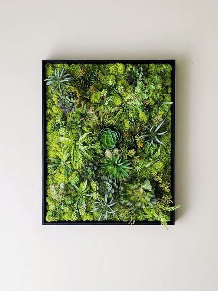 https://i.etsystatic.com/27385358/r/il/3b6a30/4834495736/il_fullxfull.4834495736_7ezr.jpg