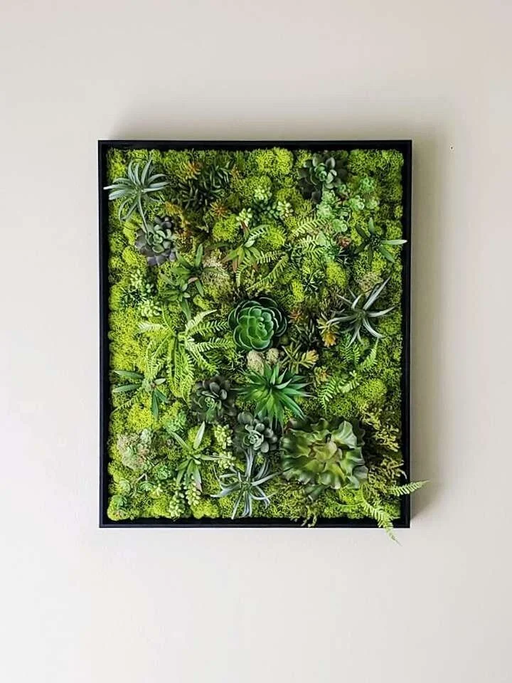 Faux Succulent Moss Wall Art  Sounds of Flowers