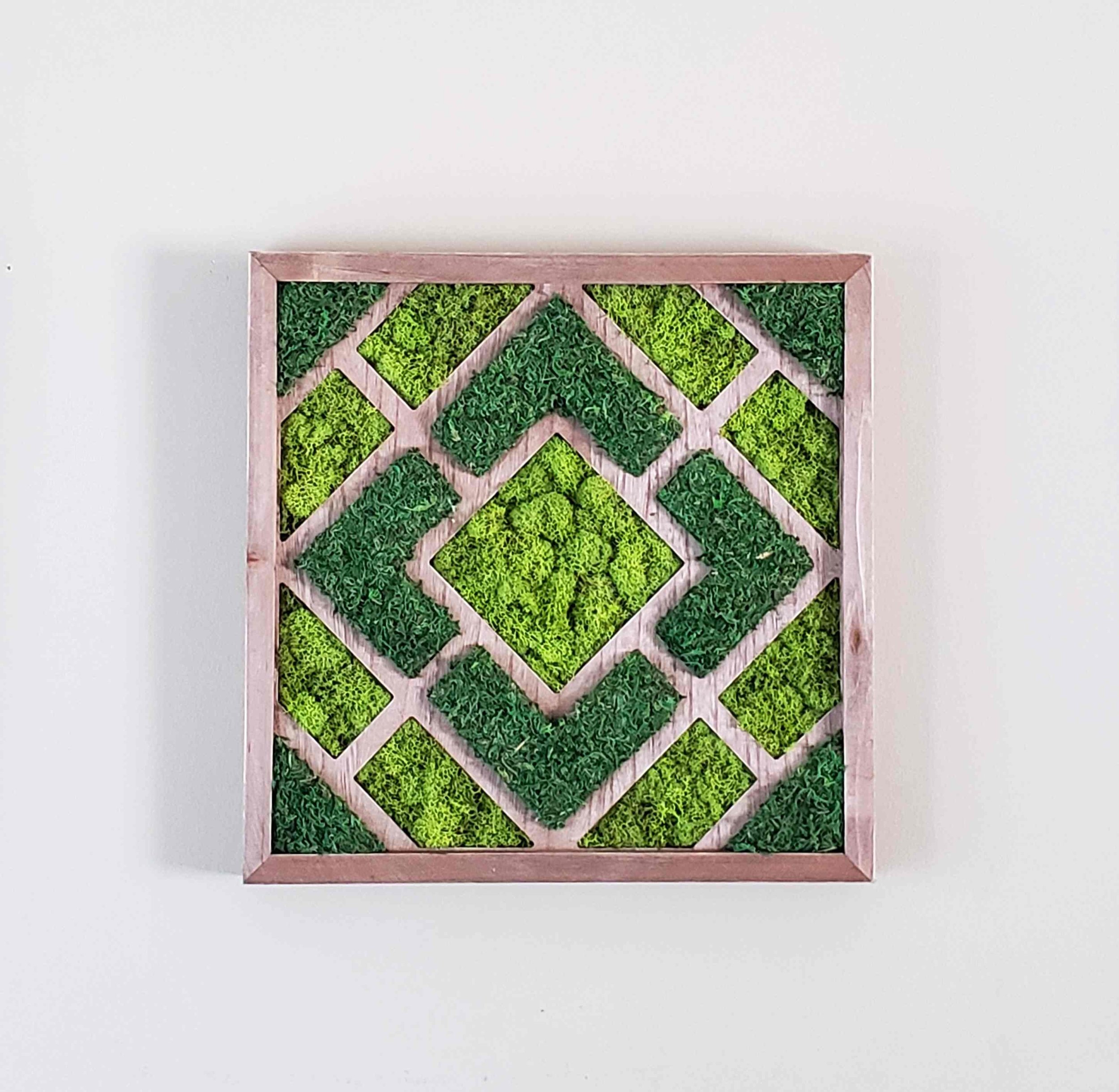 https://i.etsystatic.com/27385358/r/il/a4383e/3502796703/il_fullxfull.3502796703_81o2.jpg
