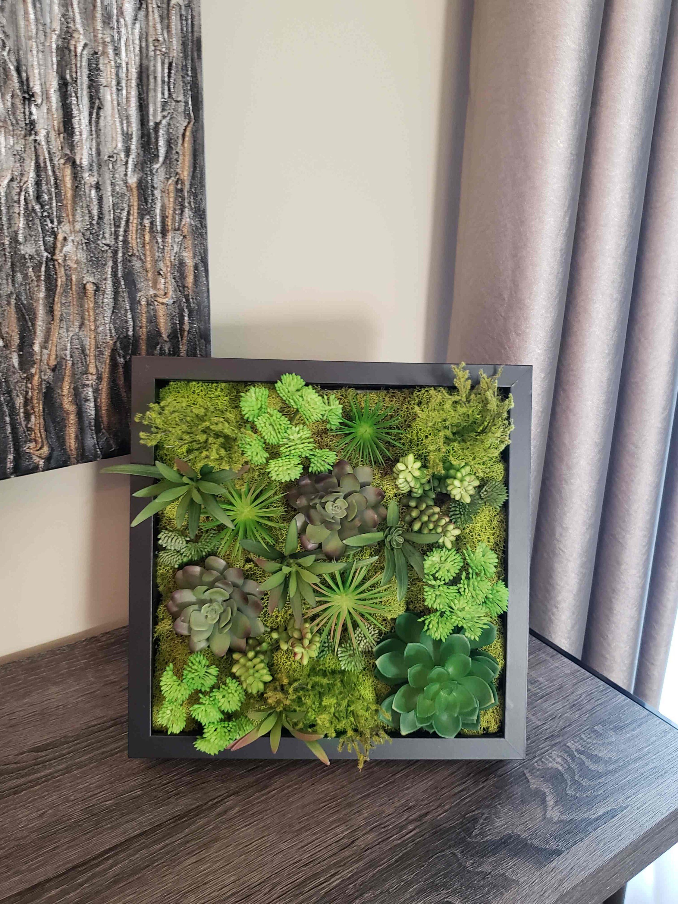https://i.etsystatic.com/27385358/r/il/9750cd/3270049649/il_fullxfull.3270049649_640b.jpg