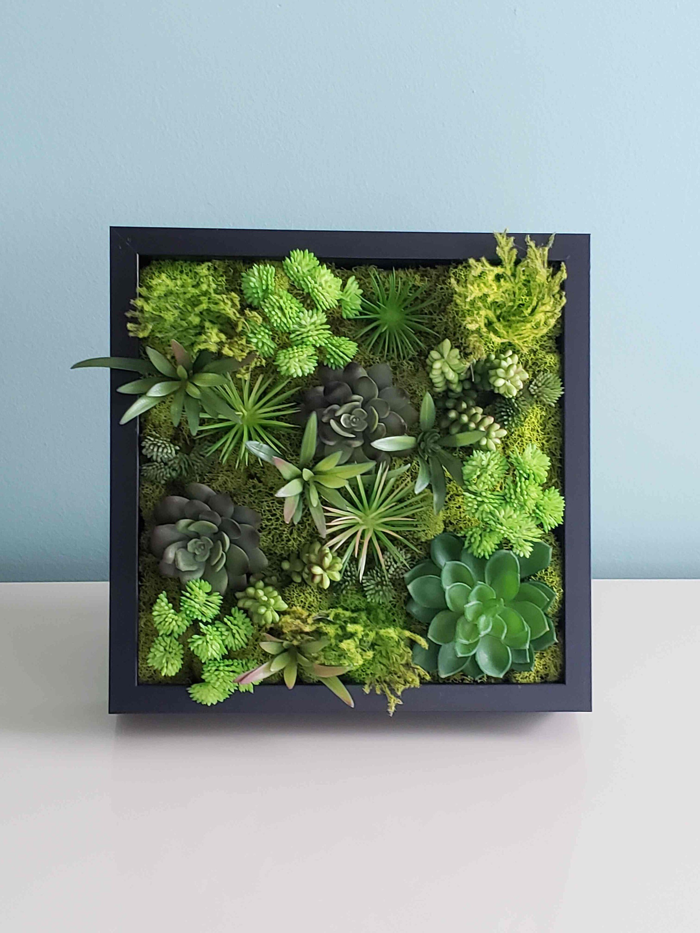 https://i.etsystatic.com/27385358/r/il/ffd4a8/3222358872/il_fullxfull.3222358872_3ku3.jpg