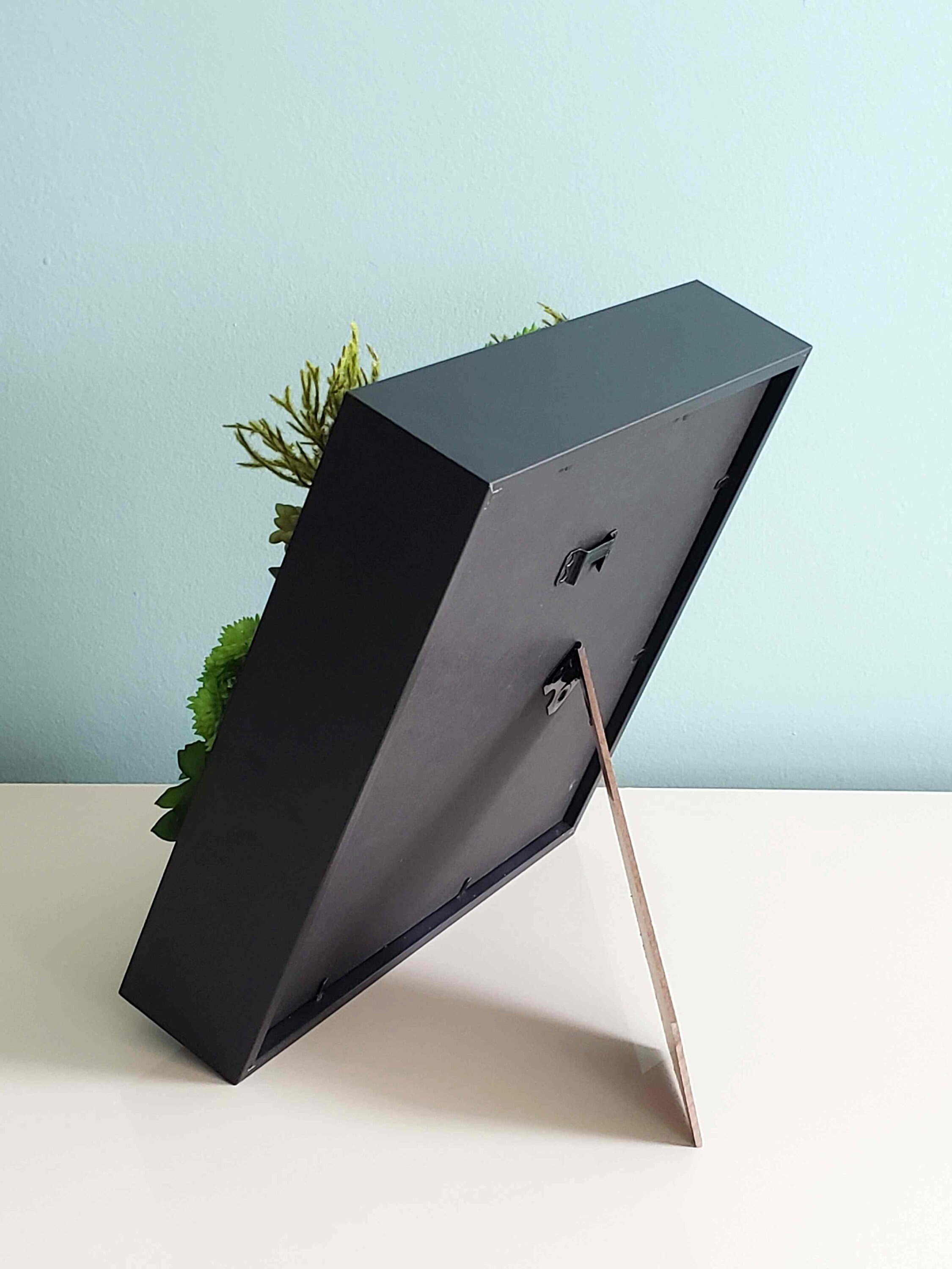 https://i.etsystatic.com/27385358/r/il/34a00a/3222358876/il_fullxfull.3222358876_rw2u.jpg
