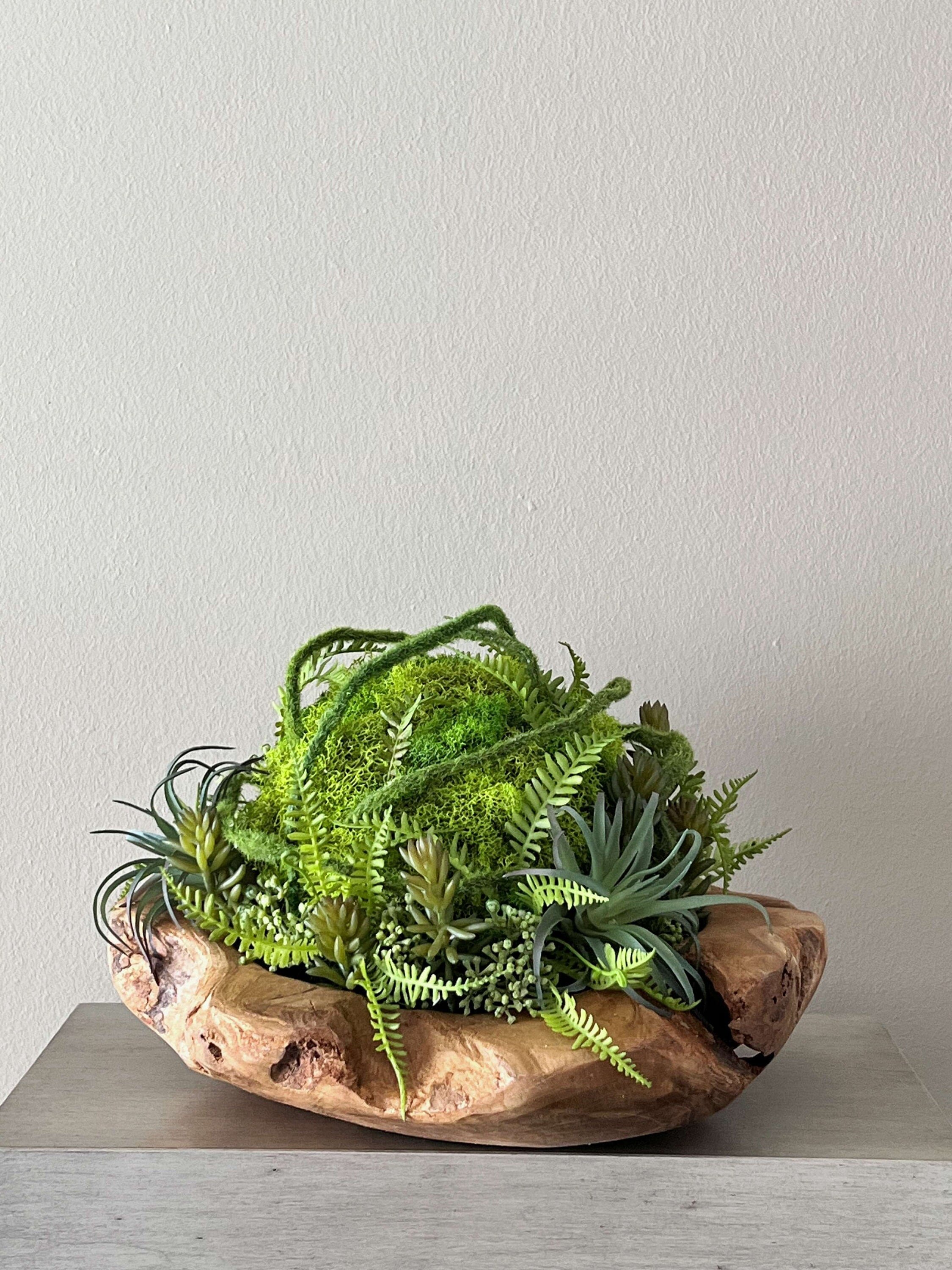 https://i.etsystatic.com/27385358/r/il/6cf72b/5071137192/il_fullxfull.5071137192_55id.jpg