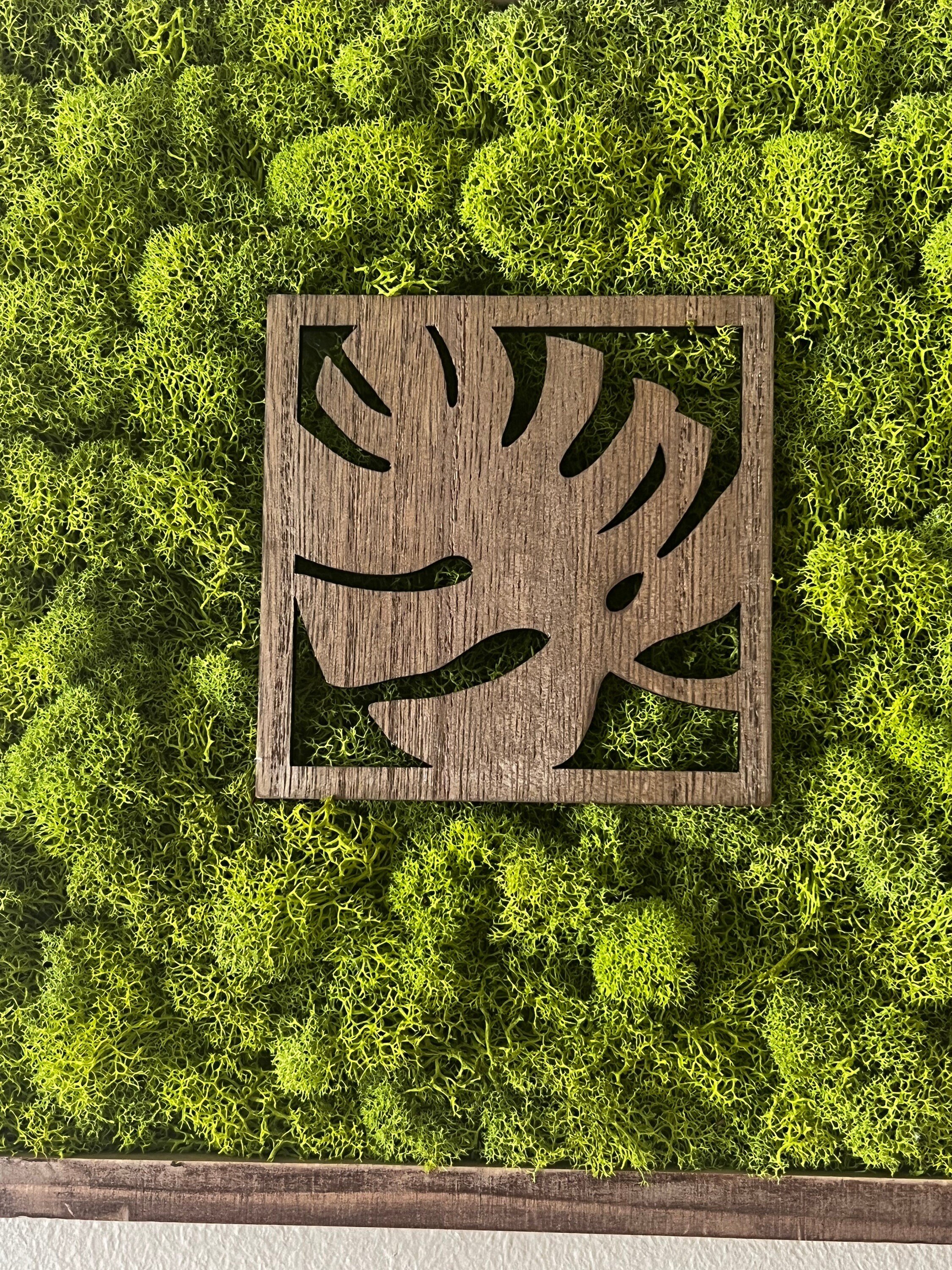 https://i.etsystatic.com/27385358/r/il/c094aa/4033774178/il_fullxfull.4033774178_pdu7.jpg
