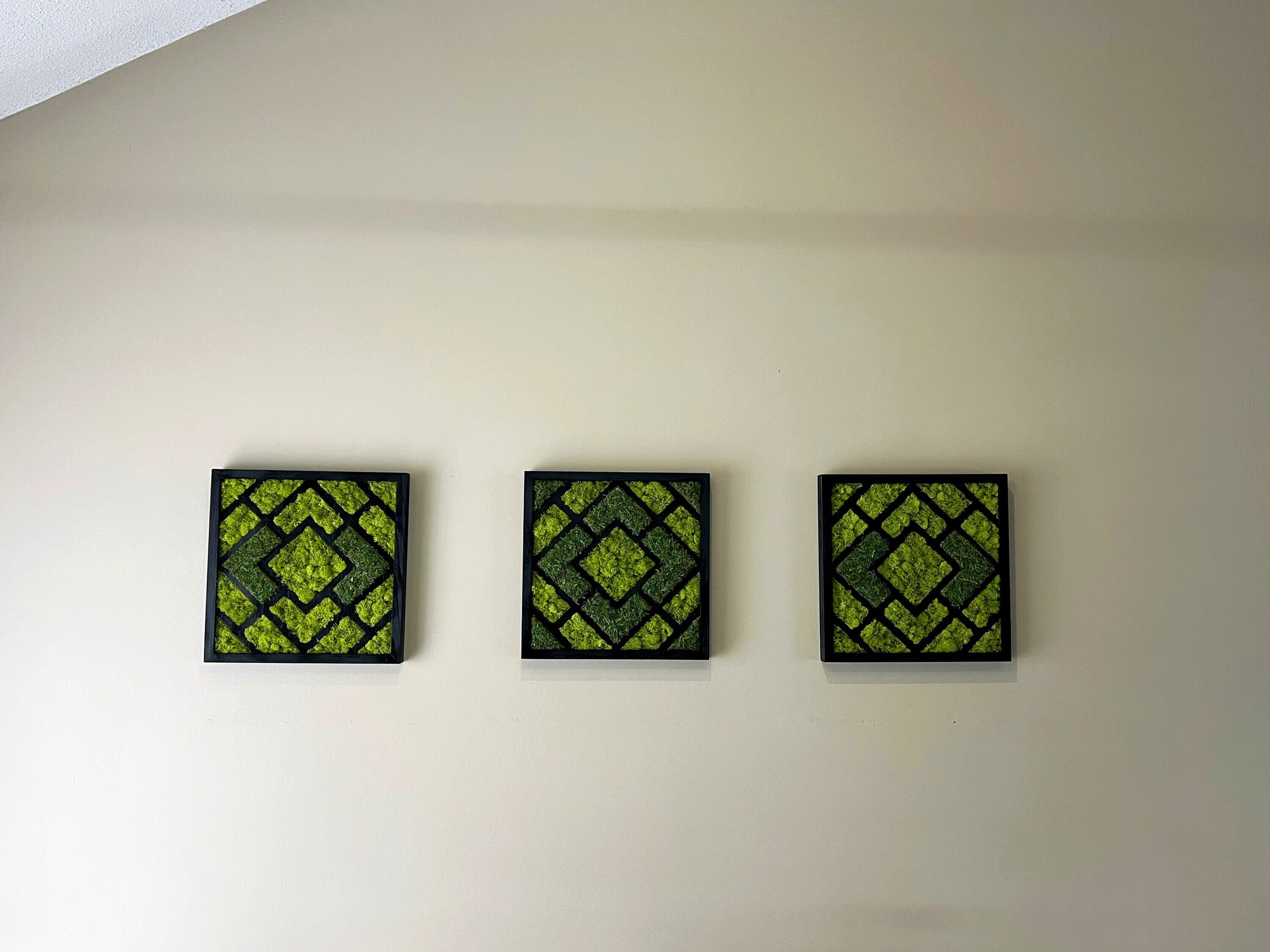 https://i.etsystatic.com/27385358/r/il/b7c9f5/3978082828/il_fullxfull.3978082828_pj69.jpg