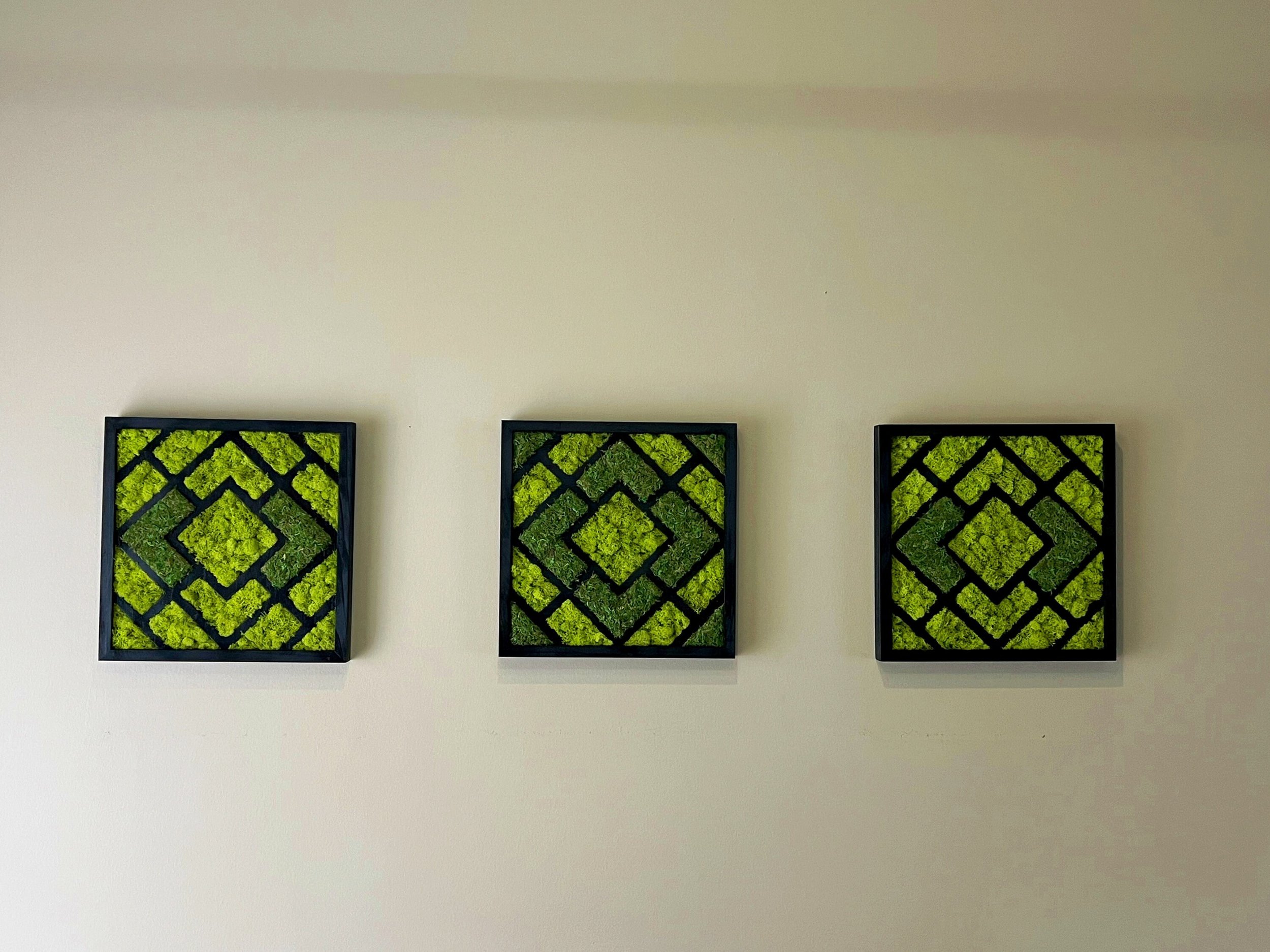 https://i.etsystatic.com/27385358/r/il/cb255a/3978087892/il_fullxfull.3978087892_tdna.jpg