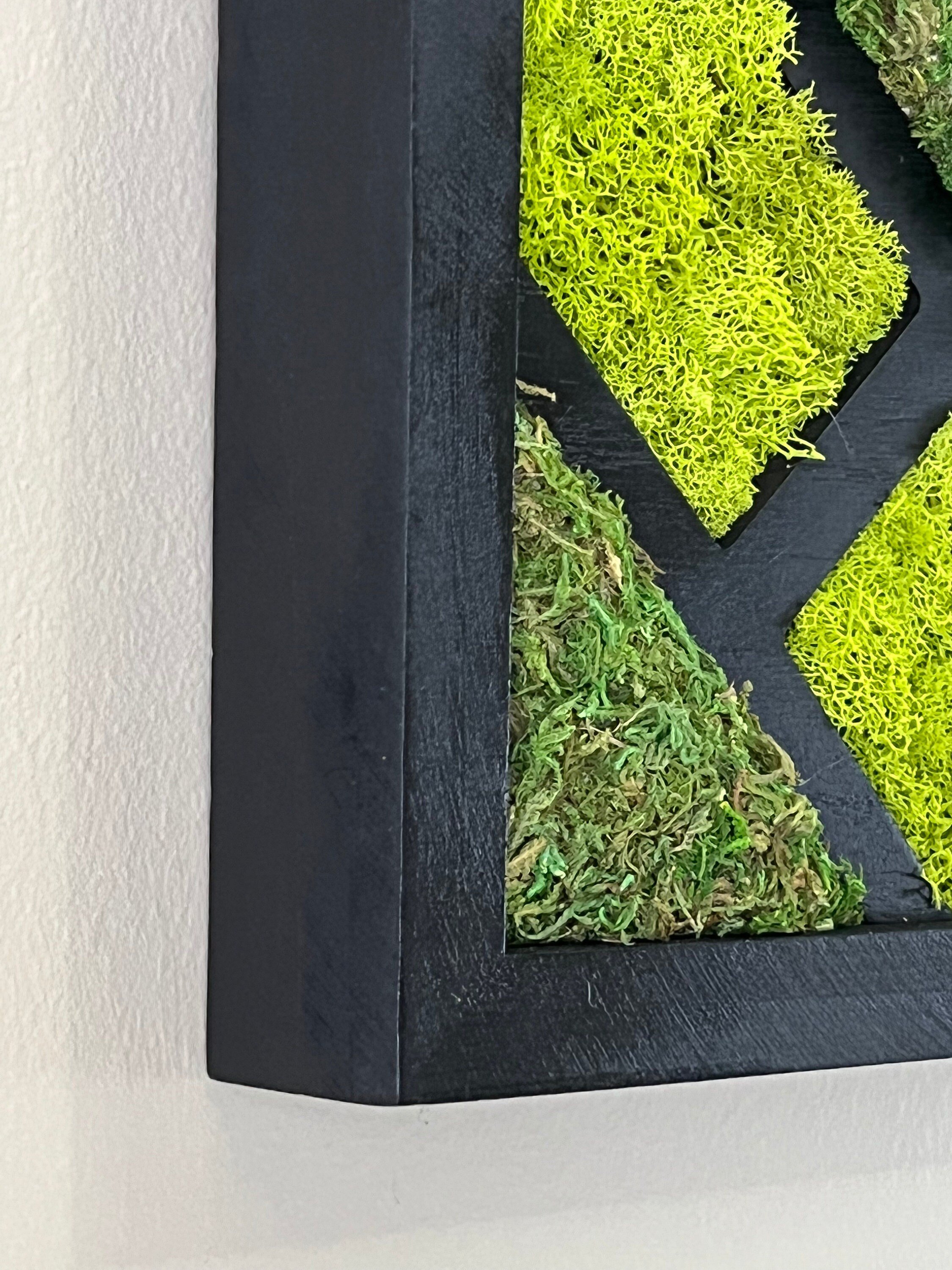 https://i.etsystatic.com/27385358/r/il/3c1a76/4025744339/il_fullxfull.4025744339_by5h.jpg