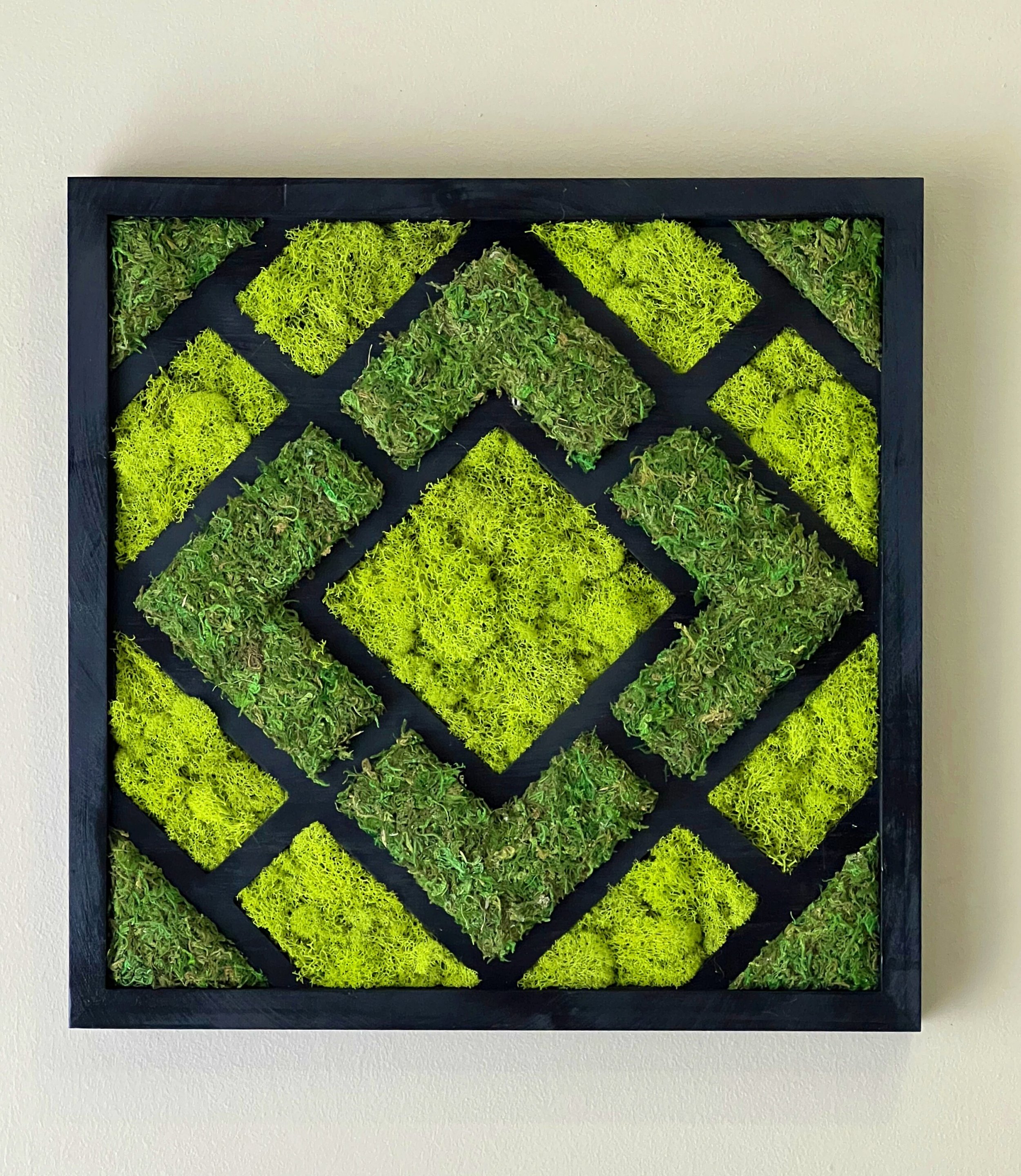 https://i.etsystatic.com/27385358/r/il/cc6477/3978088786/il_fullxfull.3978088786_plw0.jpg