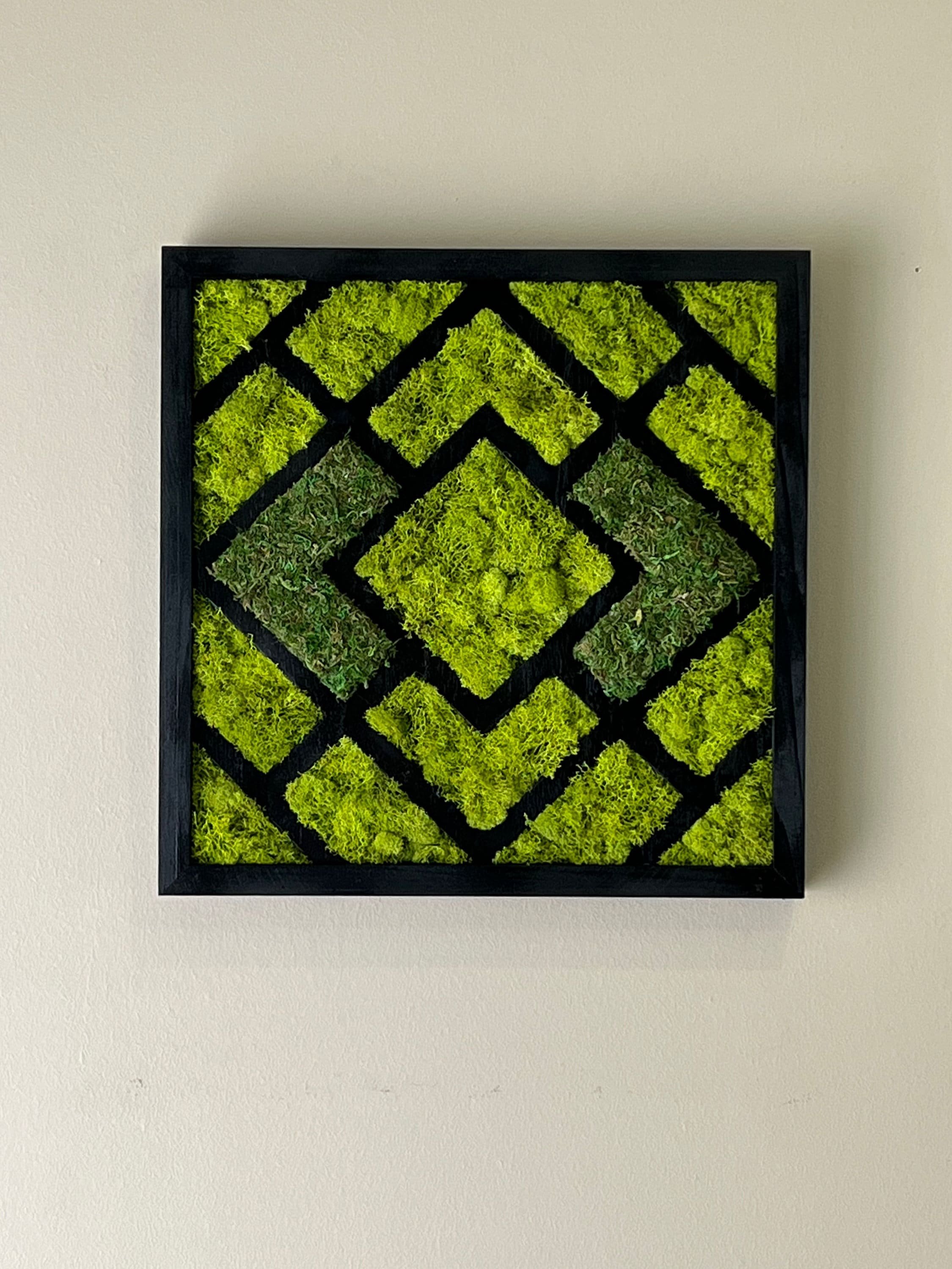 https://i.etsystatic.com/27385358/r/il/70f911/3965849222/il_fullxfull.3965849222_tw5f.jpg