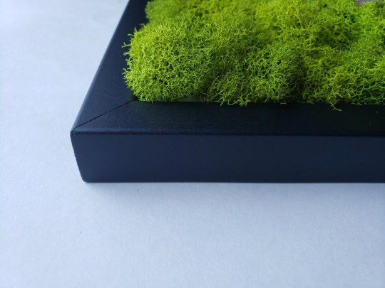 https://i.etsystatic.com/27385358/r/il/4f54ab/4033236519/il_fullxfull.4033236519_r4b0.jpg