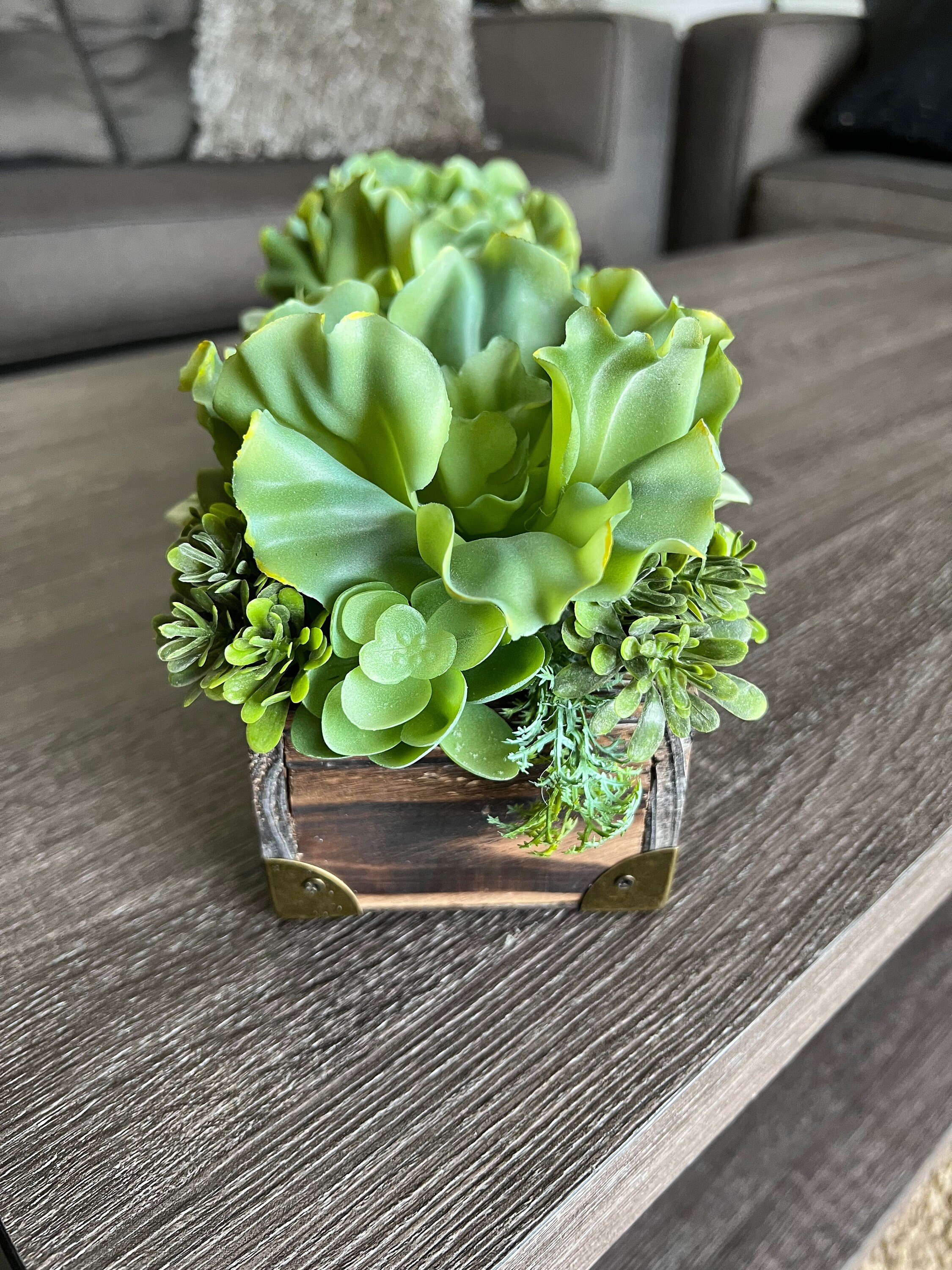 https://i.etsystatic.com/27385358/r/il/cb62f2/3773112624/il_fullxfull.3773112624_fctg.jpg