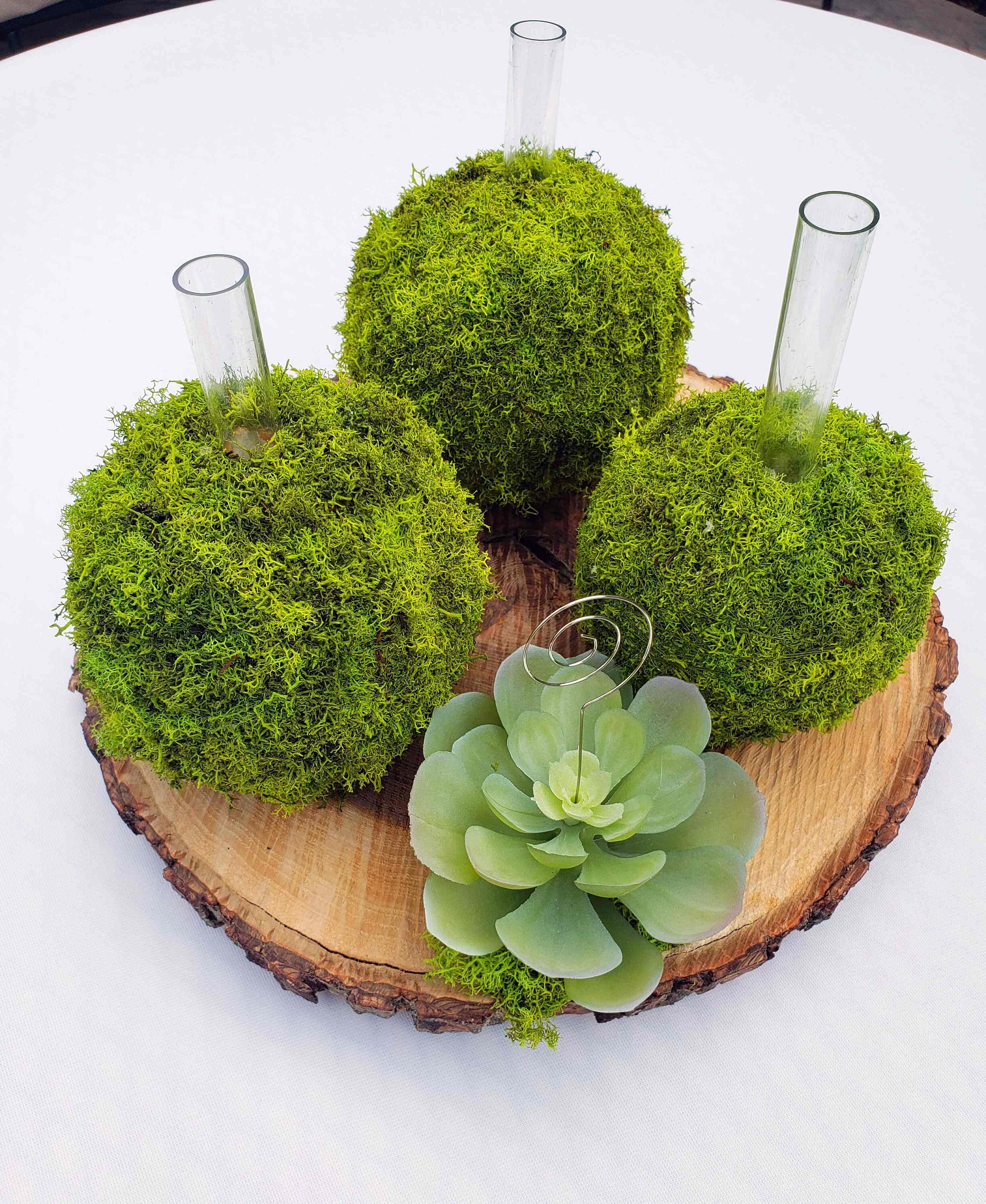 https://i.etsystatic.com/27385358/r/il/1fbc51/3255562472/il_fullxfull.3255562472_9s6w.jpg