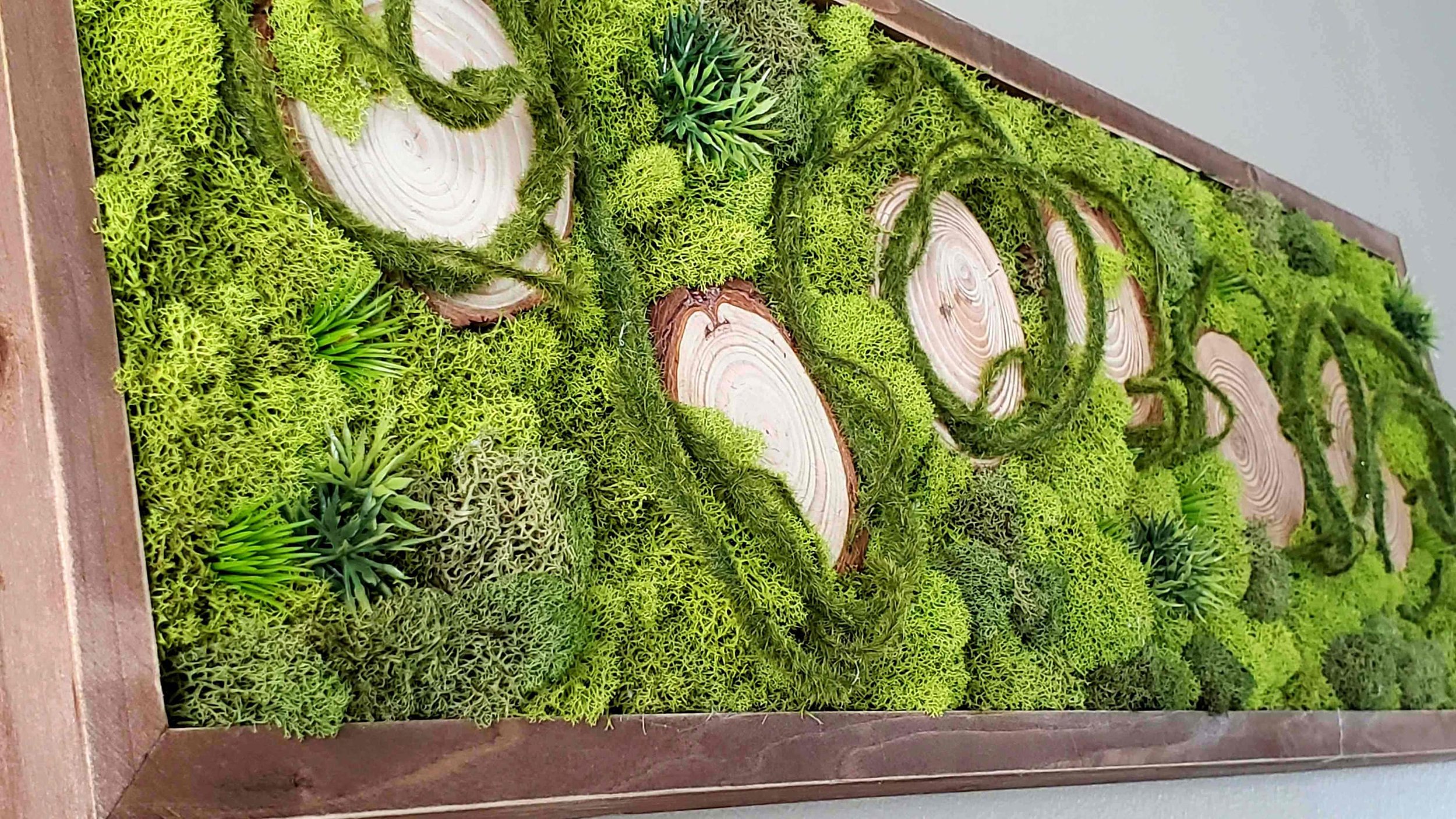 https://i.etsystatic.com/27385358/r/il/2a132f/2971309866/il_fullxfull.2971309866_3c14.jpg
