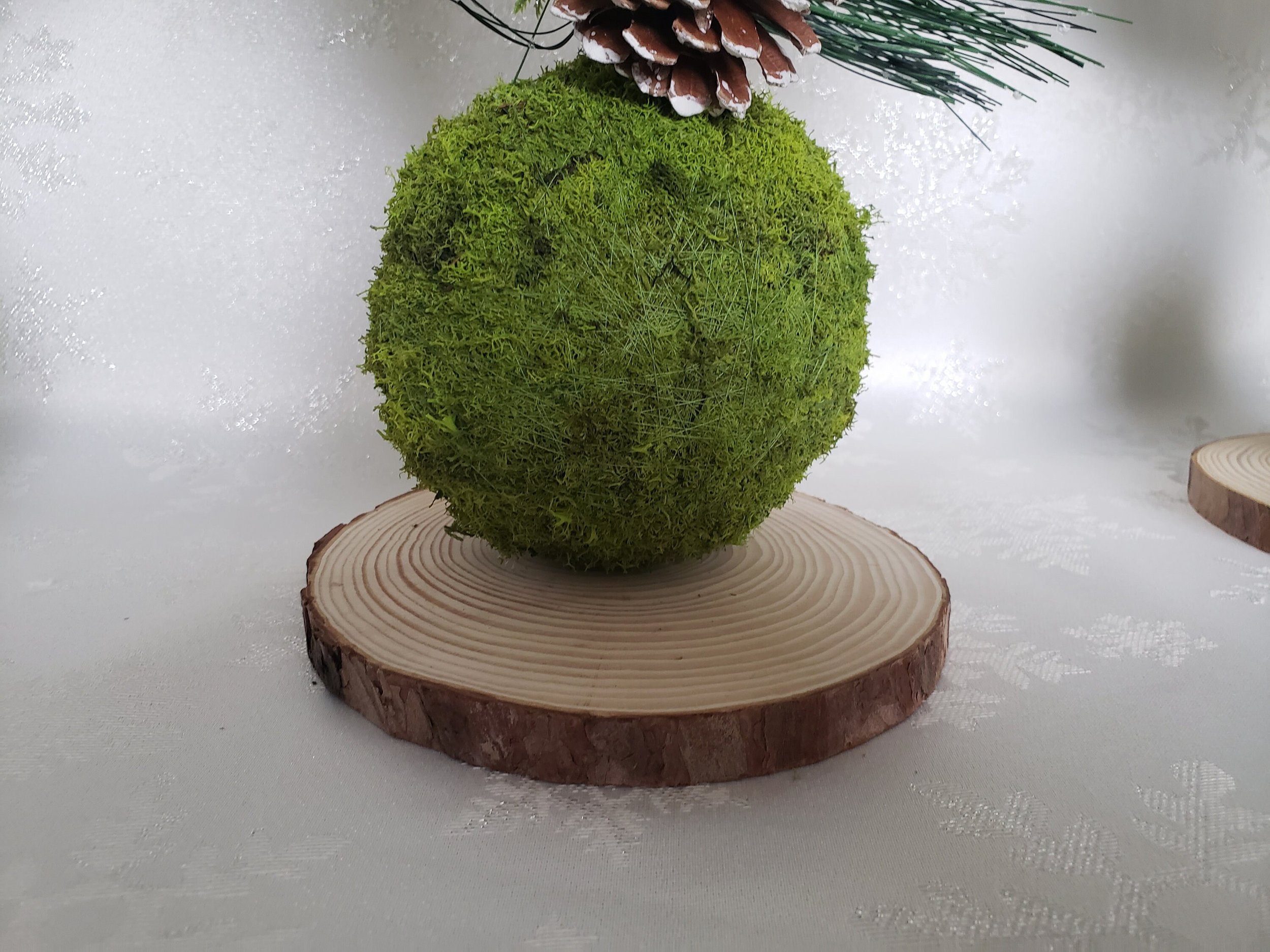 https://i.etsystatic.com/27385358/r/il/d1df3a/3466531239/il_fullxfull.3466531239_ffbo.jpg
