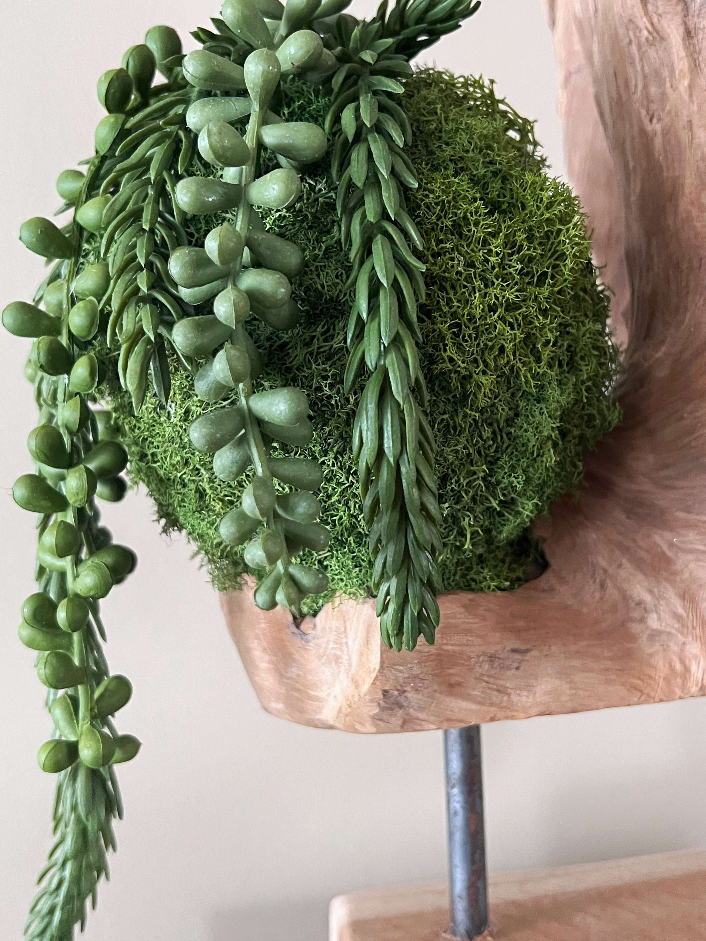 https://i.etsystatic.com/27385358/r/il/98940a/5107550555/il_fullxfull.5107550555_in2q.jpg