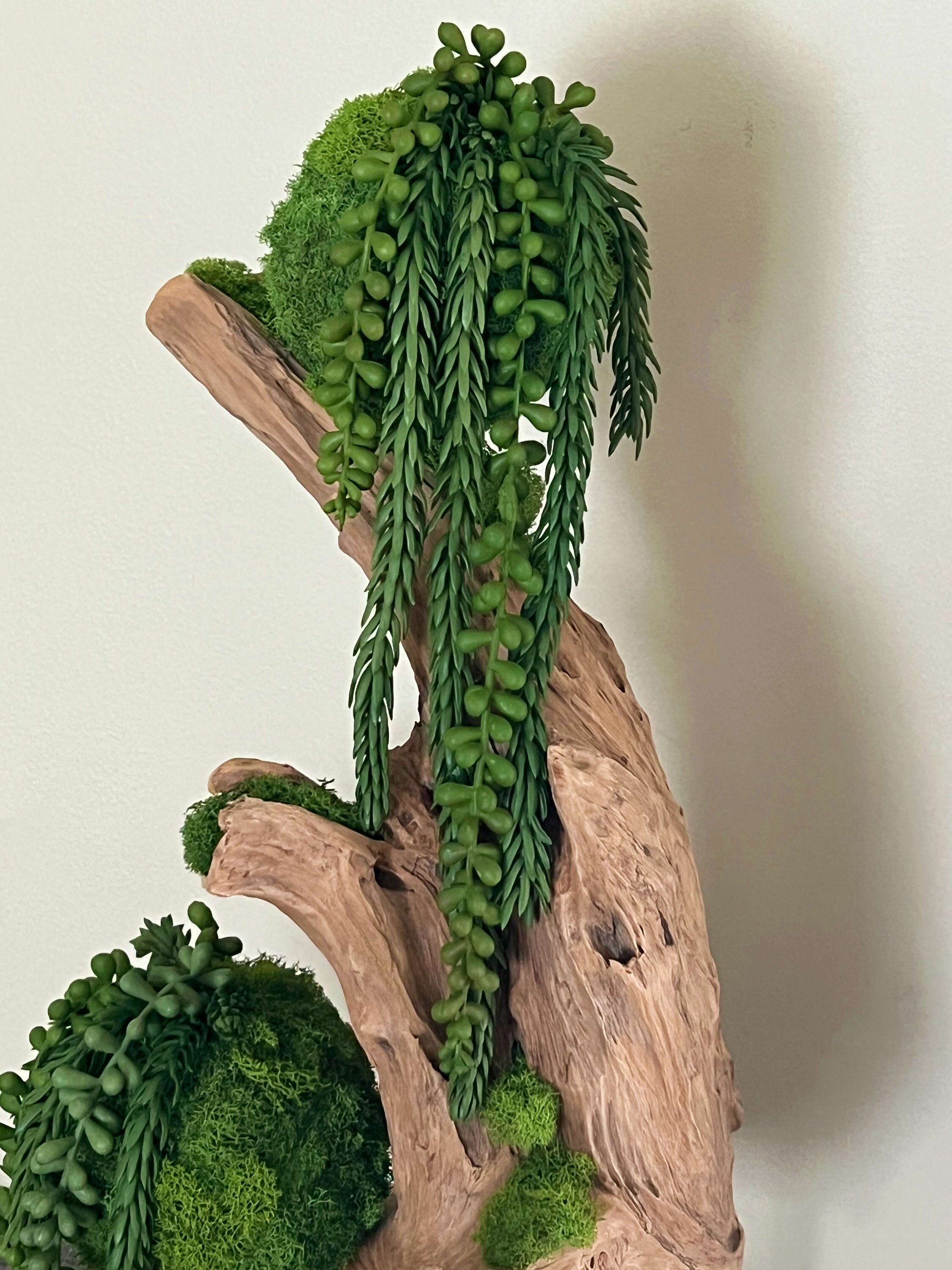https://i.etsystatic.com/27385358/r/il/7fa2e8/5059323472/il_fullxfull.5059323472_kjg9.jpg