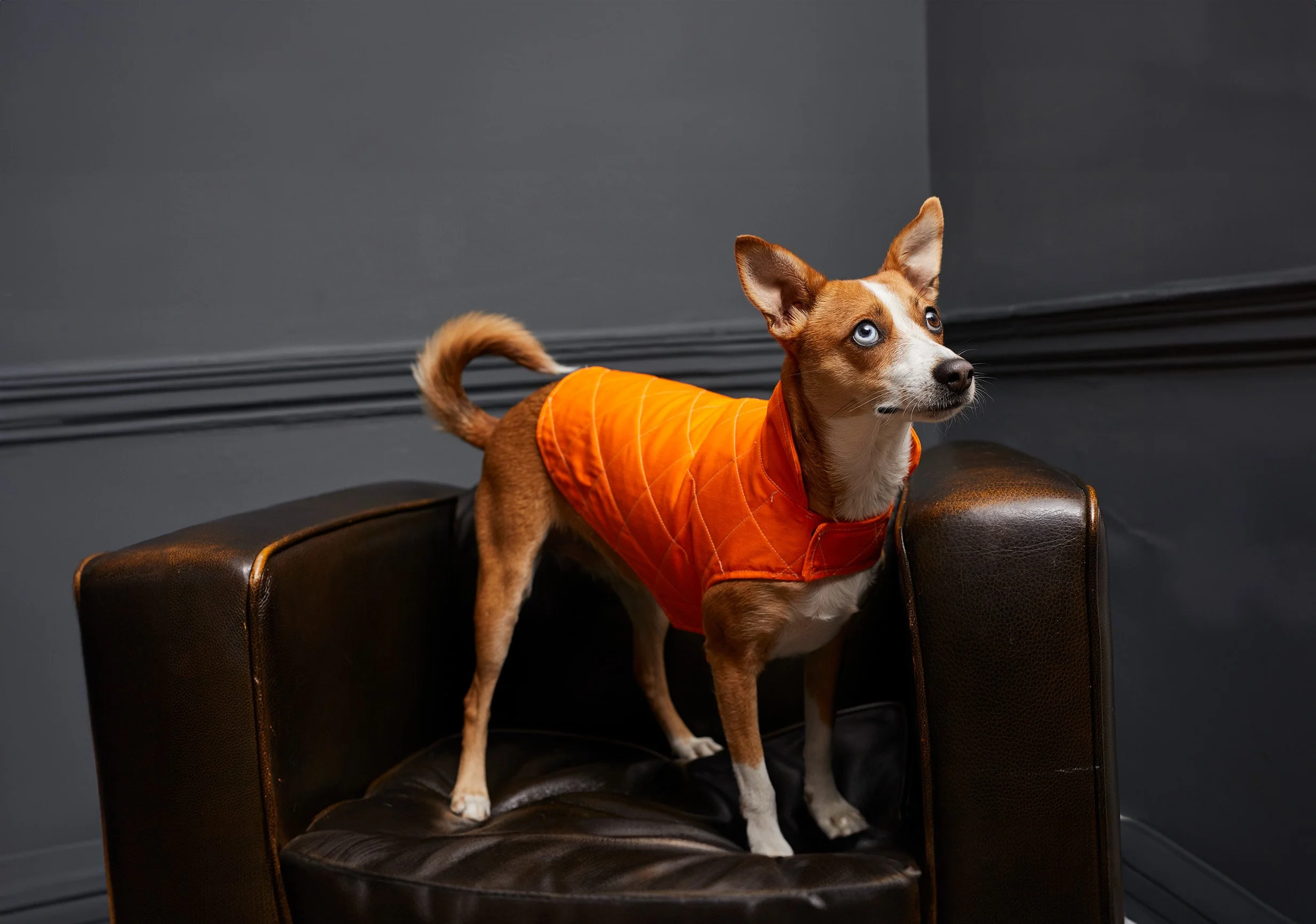 Alkemi_28.3.24_ 107 home.jpg