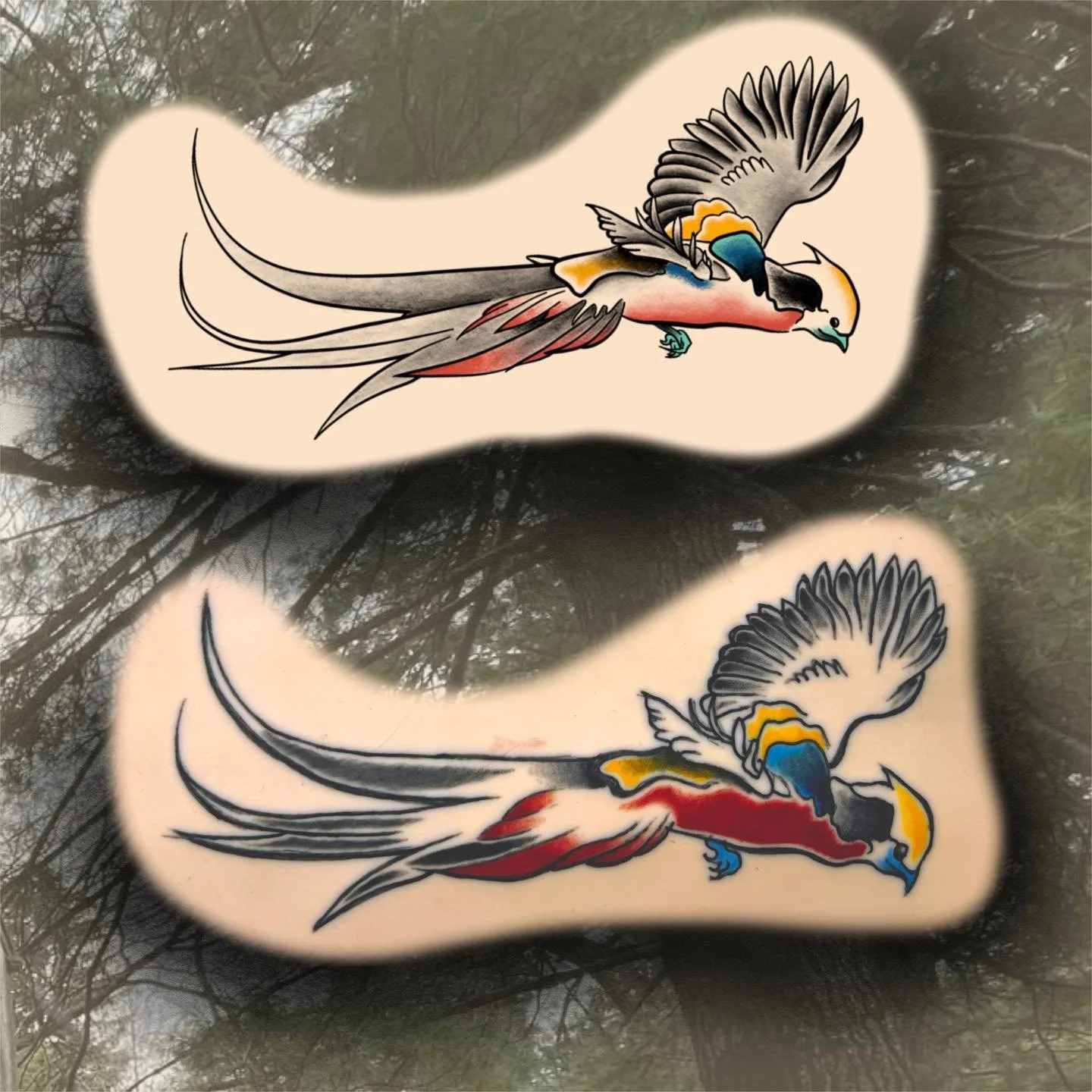 Last of the birb designs vs execution!!
🖋
🦜
✒️
#tattoo#tattoogun#tattoopractice#bird#birdtattoo#art#artist
