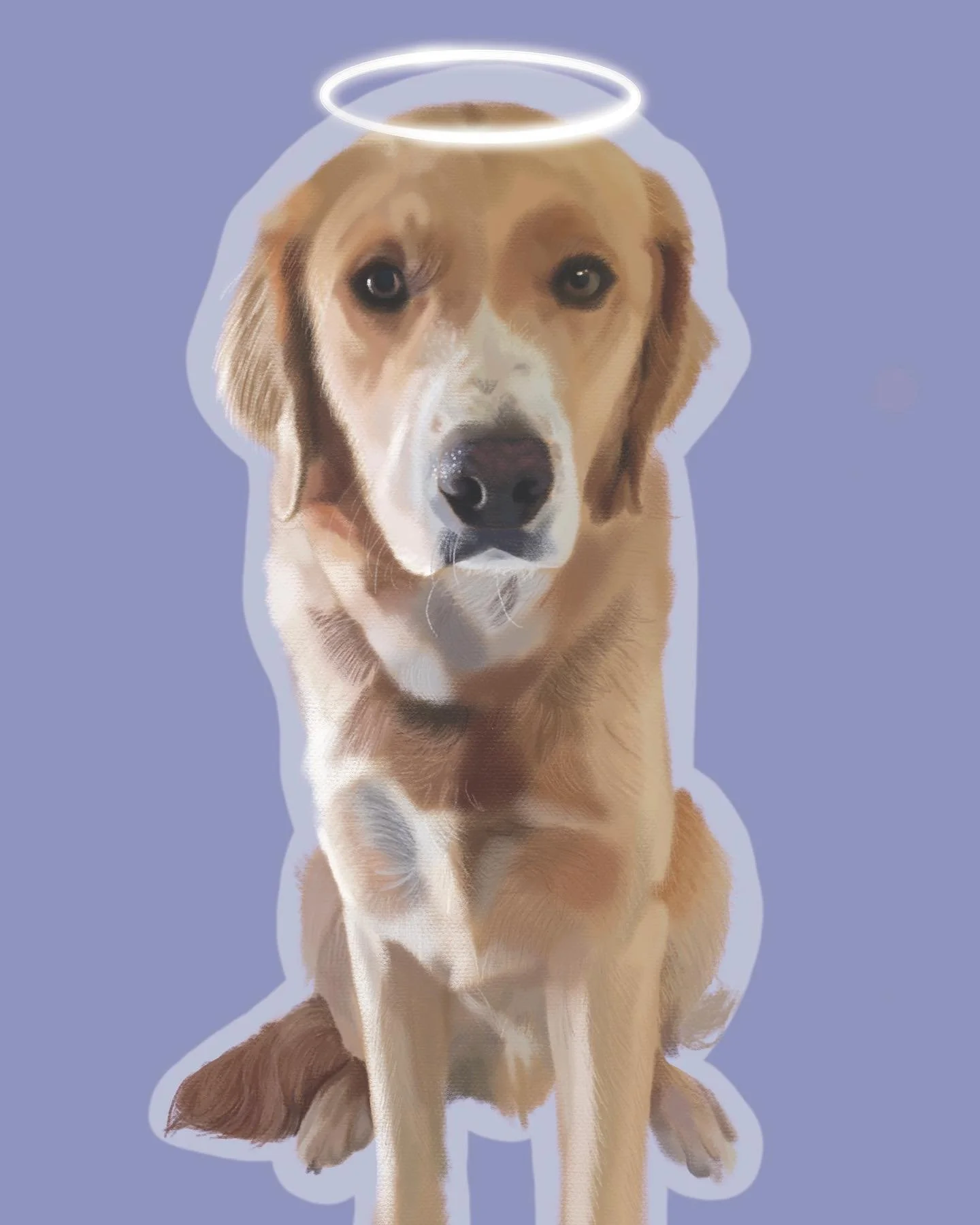 pet portrait commission for a rainbow pup 🥹
🦮
🐾
🦮
#digitalart #digitalillistration #petportrait #procreate #digitalartist