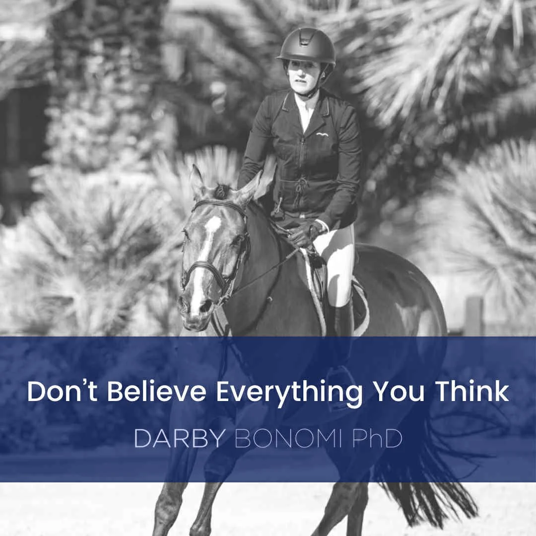 Don’t Believe Everything You Think: The tangled mental web of disaster scenarios