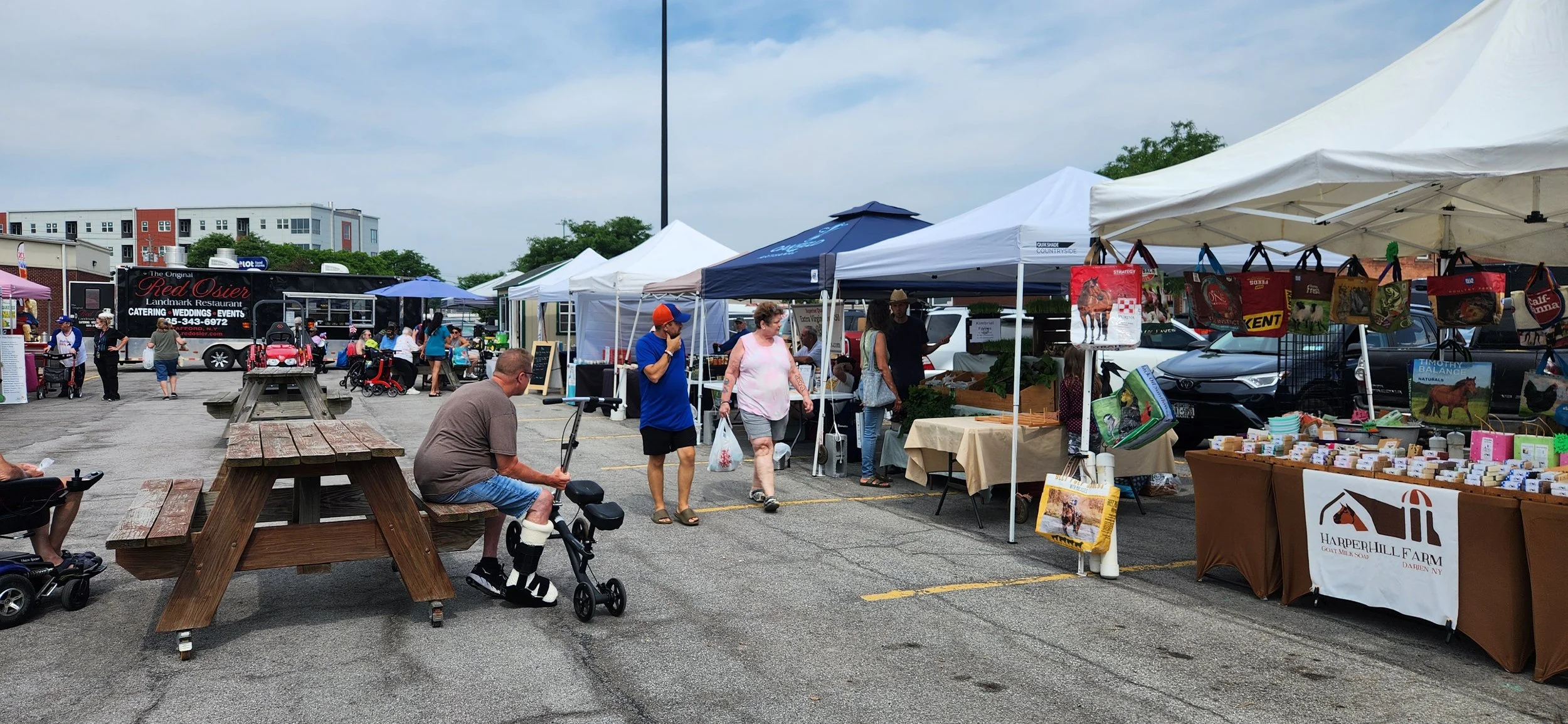 Genesee County Place Brand & Tourism Plan