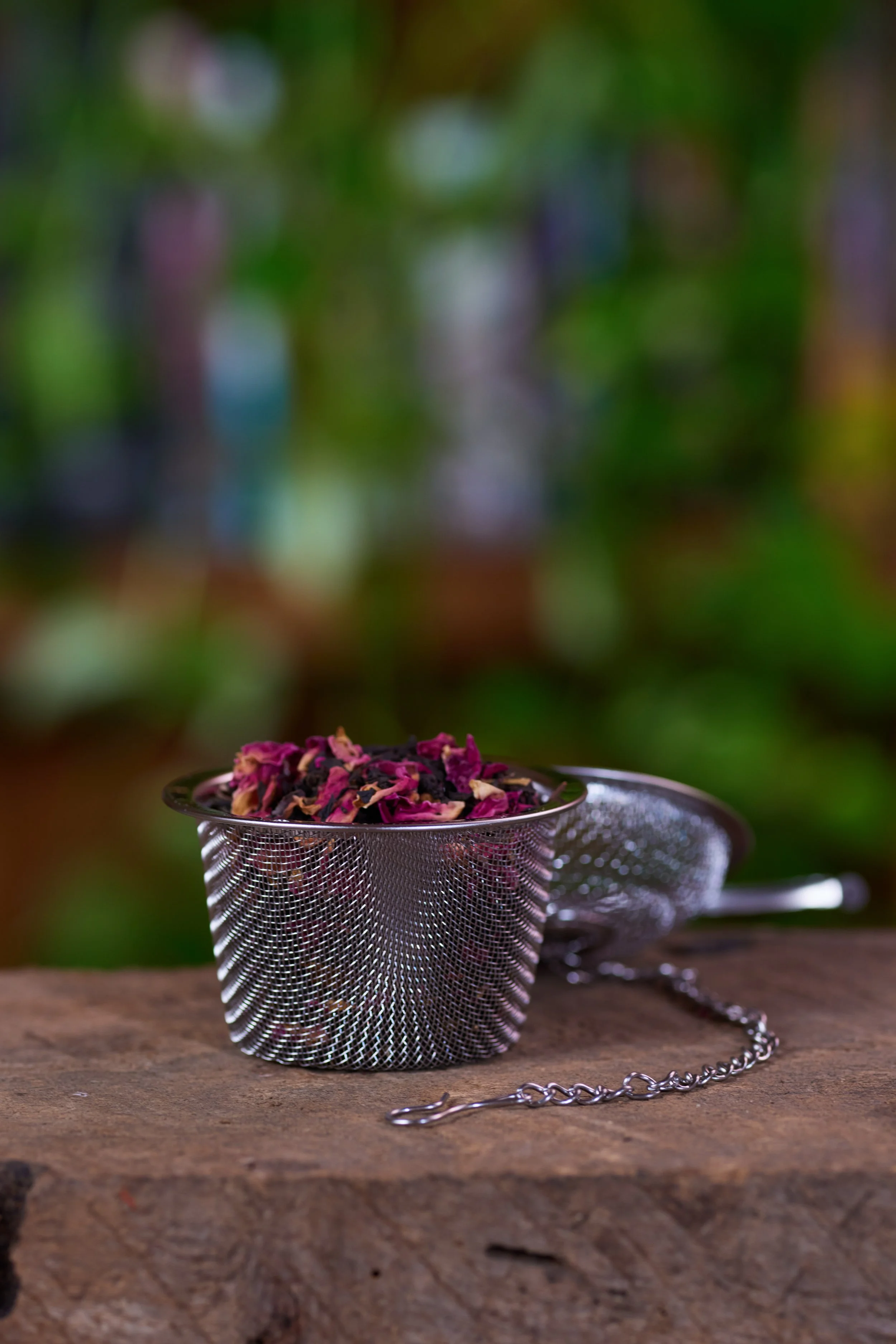 Bonsabi 12.7.251806_Full_Size036.jpg