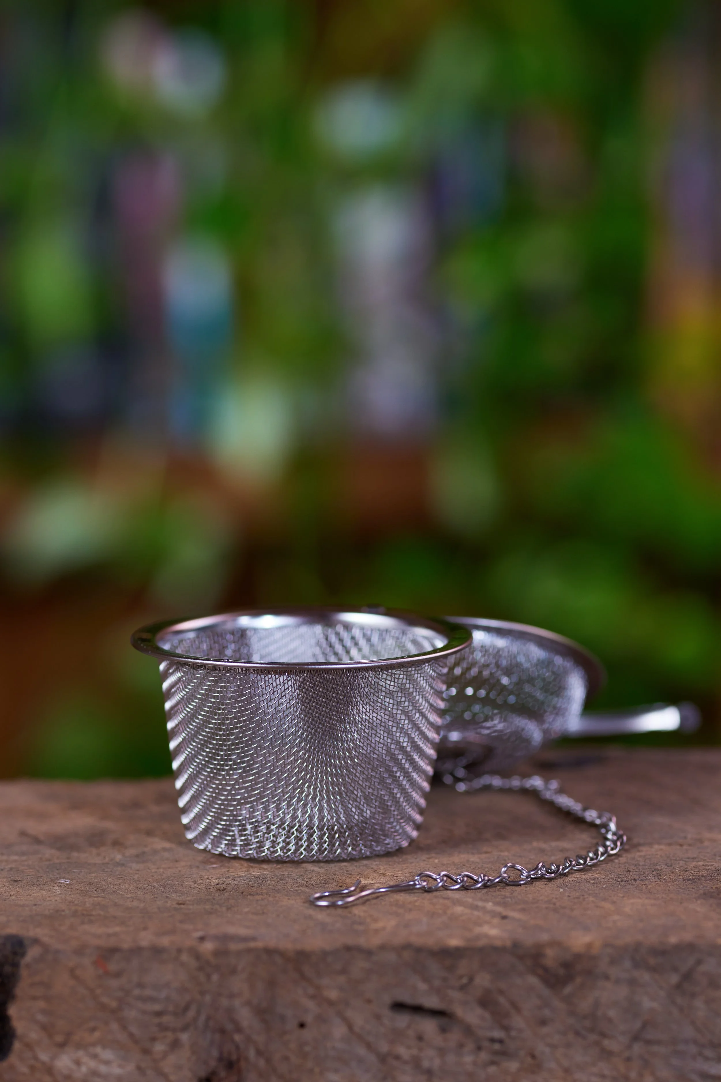 Bonsabi 12.7.251803_Full_Size035.jpg