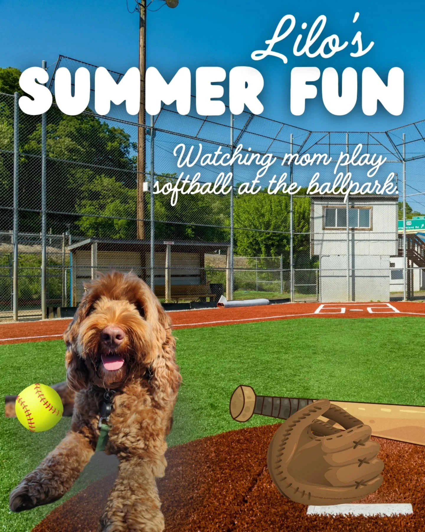 As summer comes to an end and we welcome the cooler breeze of the new season, we look back on our favorite things to do, and bucket lists for next year! 

Check out or website (link in bio), or follow us here for updates! 

#AustralianLabradoodles #p