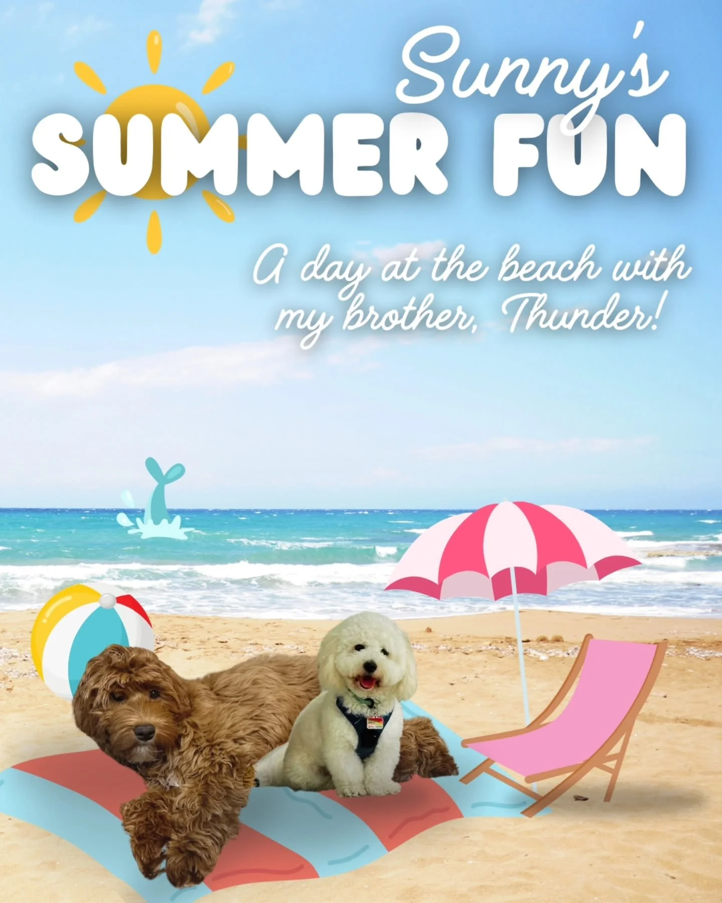 As summer comes to an end and we welcome the cooler breeze of the new season, we look back on our favorite things to do, and bucket lists for next year! 

Feat Sunny @hisunnybunnybear (and big bro Thunder the coton @thunderdoghawaii)

Check out or we