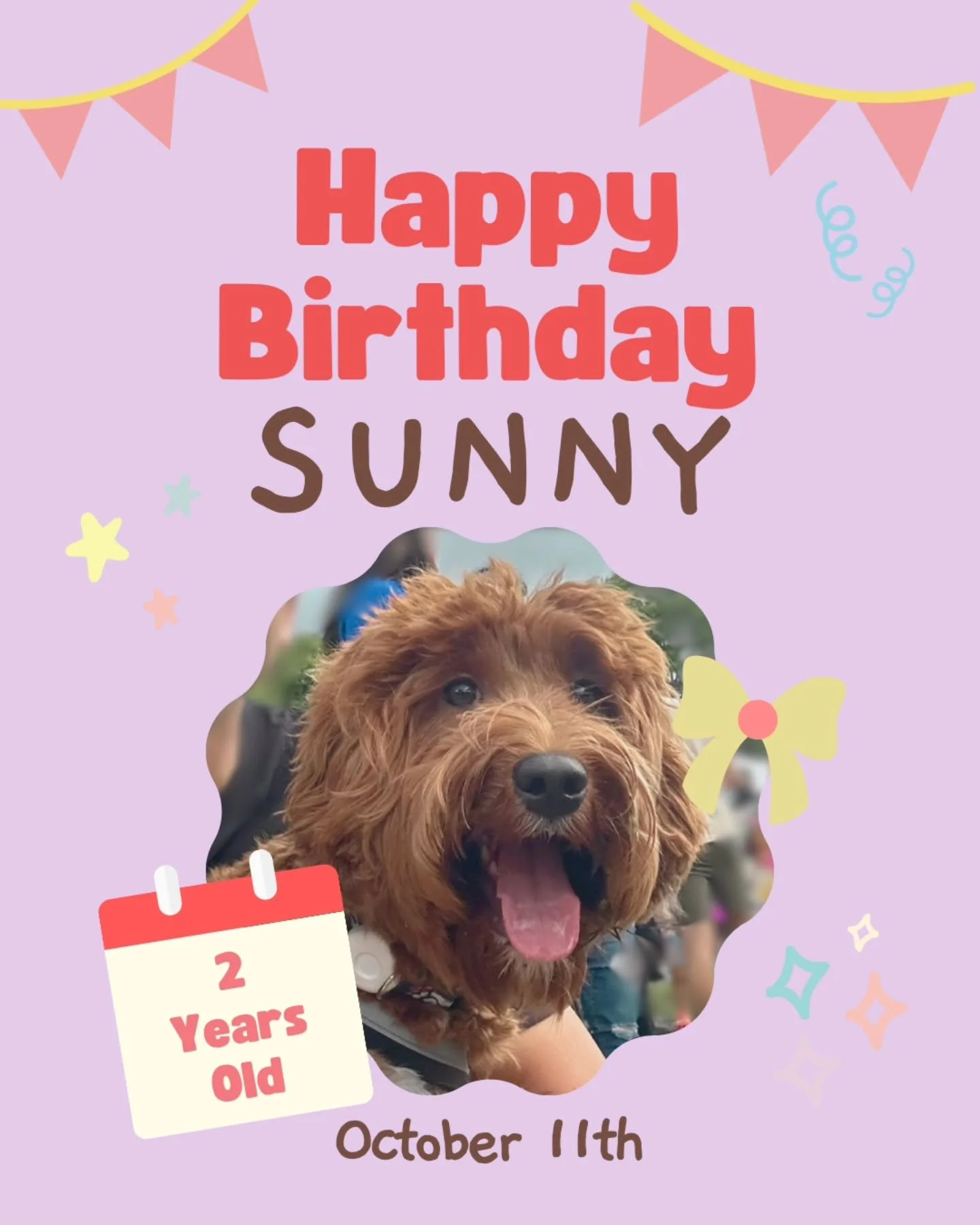 Two years sure has flown by! Happy 2nd Birthday, to this ball of energy, SUNNY!!!! We love, love, love you more than you will ever know!