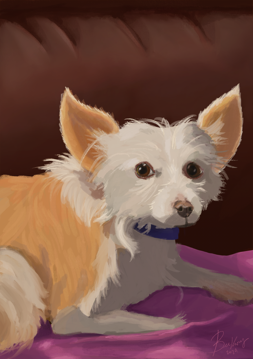 Twinkle Commission 2024.png