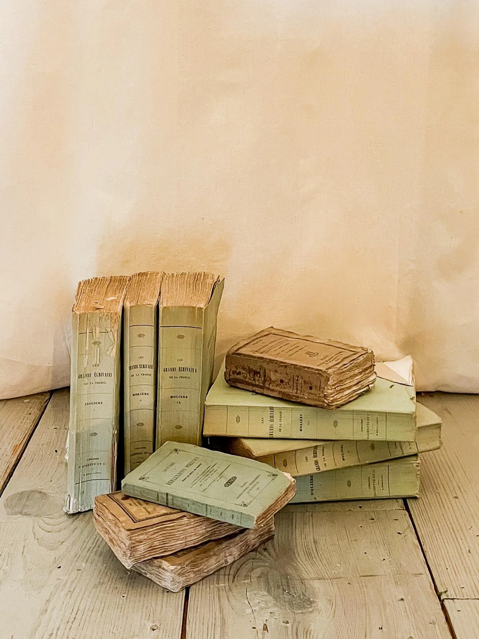 French Rag Books

Assorted styles
Pricing varied