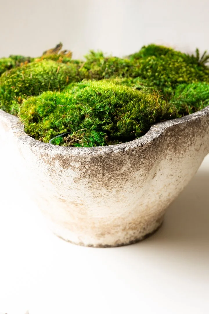 Scallop Edged Planter

11h 23d 
$1,299